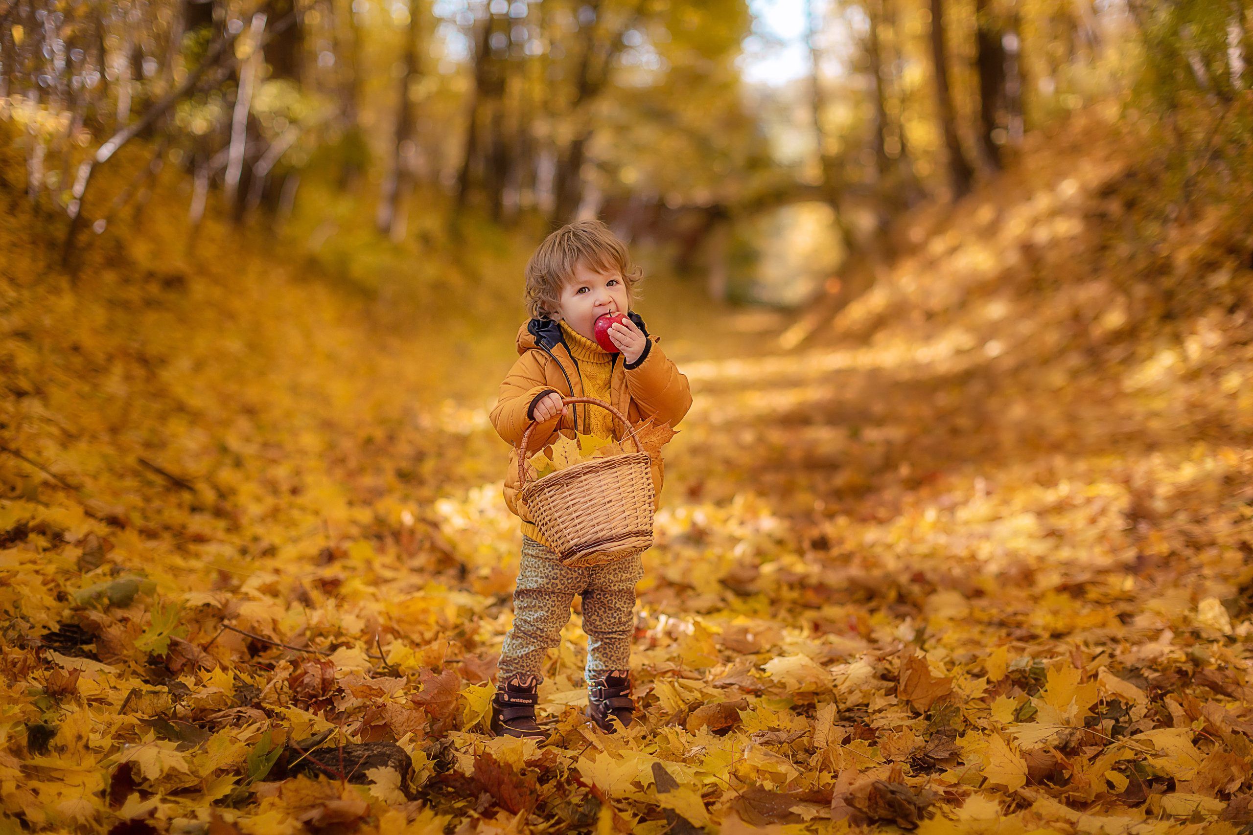 Осенние фотосессии. Семейный, детский фотограф в Москве, Подмосковье