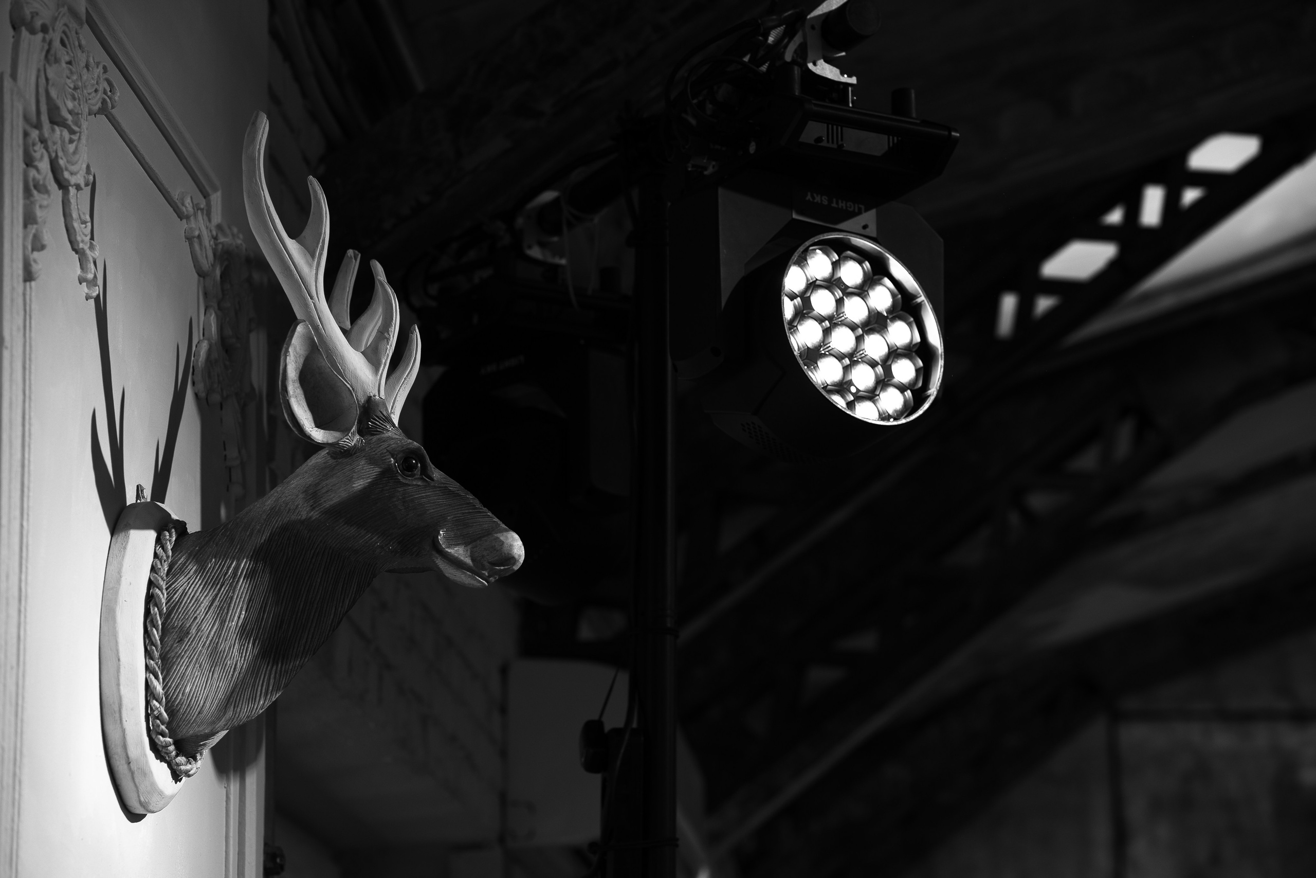 Синергиум. Фотограф Москва