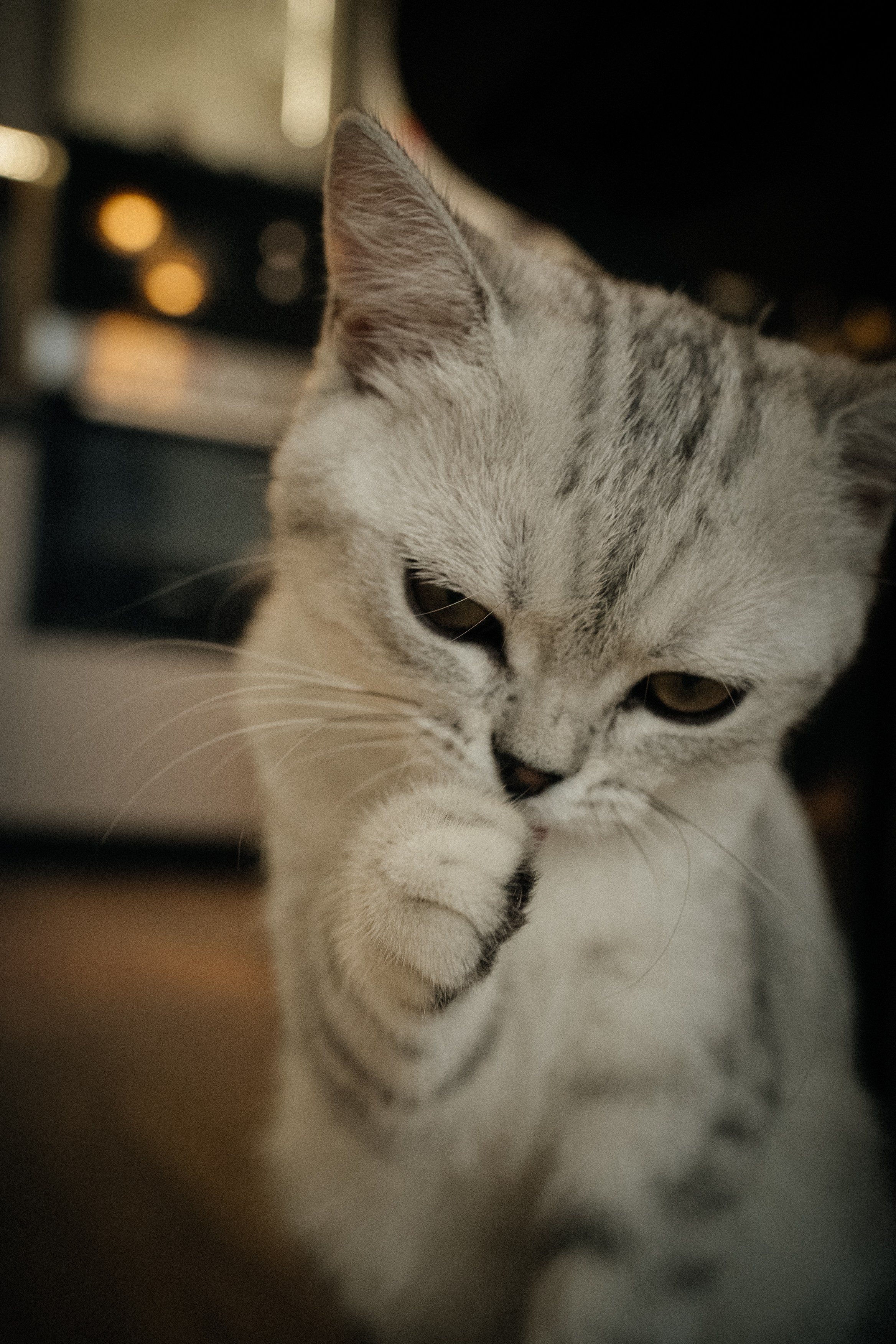 Семья Ксении и Максима. Фотограф | Юлия Арт| Обучение