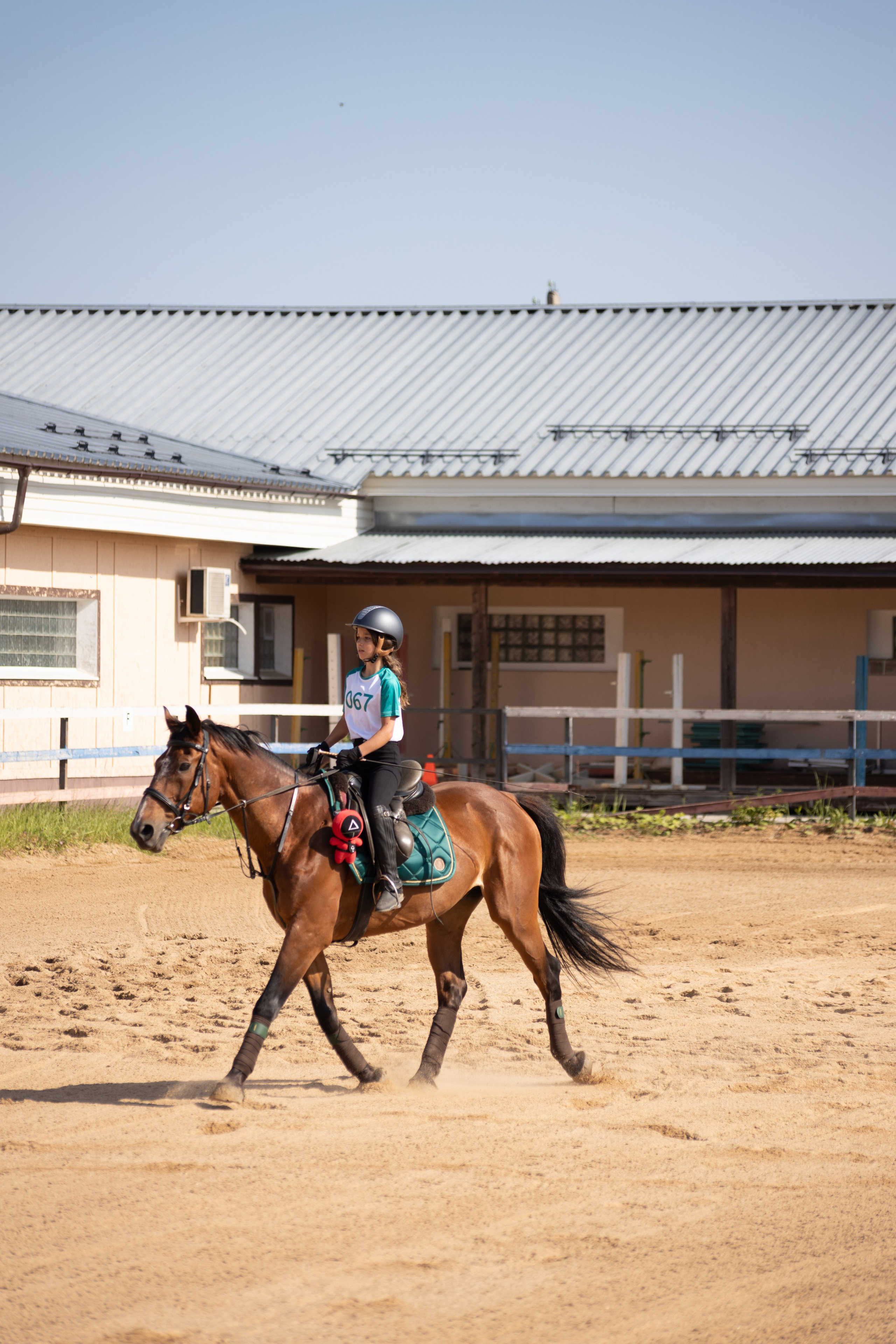 Конюшня. Фотограф в Москве и Истре