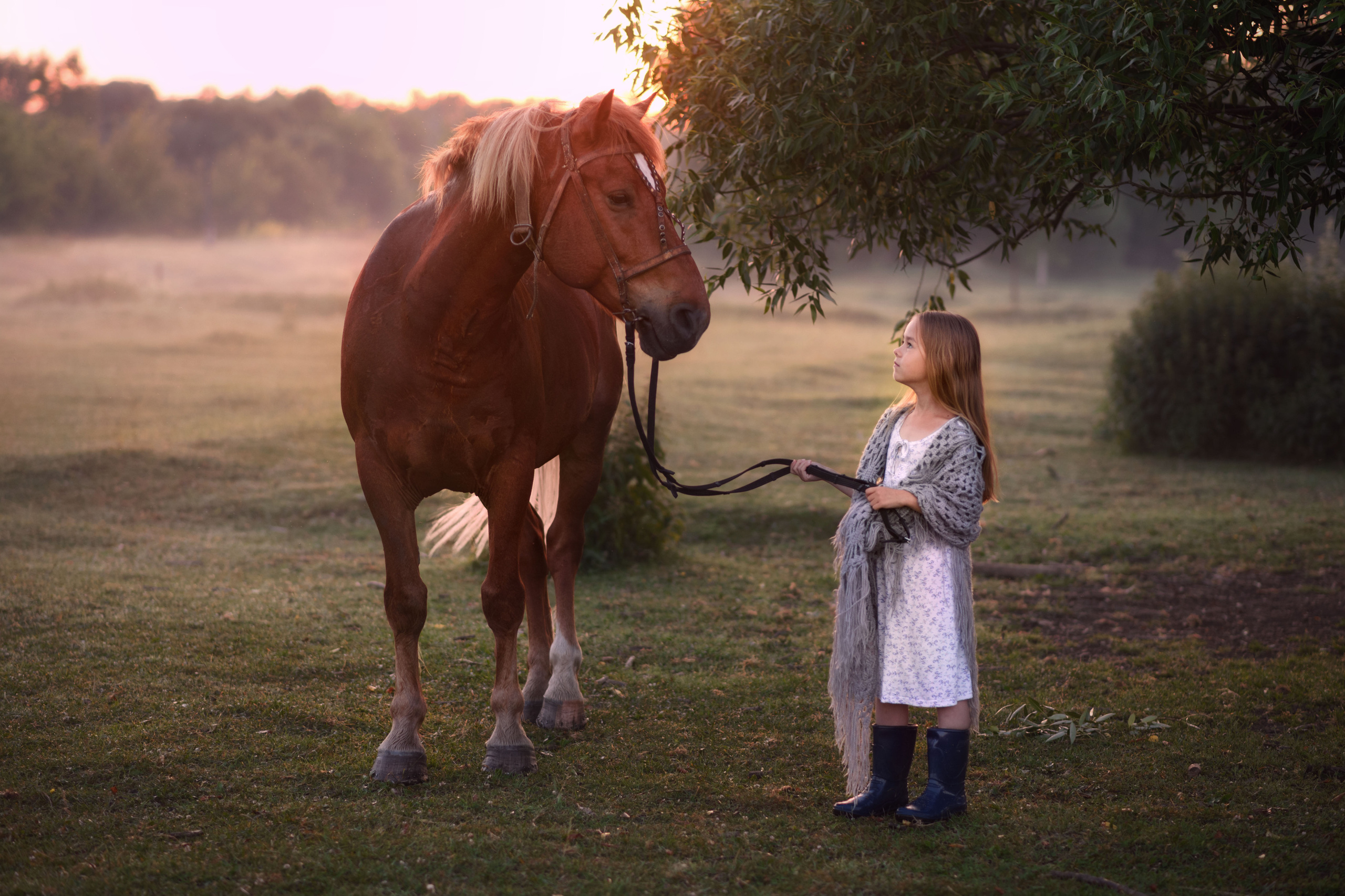 Летние съемки. Фотограф Тула, Москва Виктория Доманская