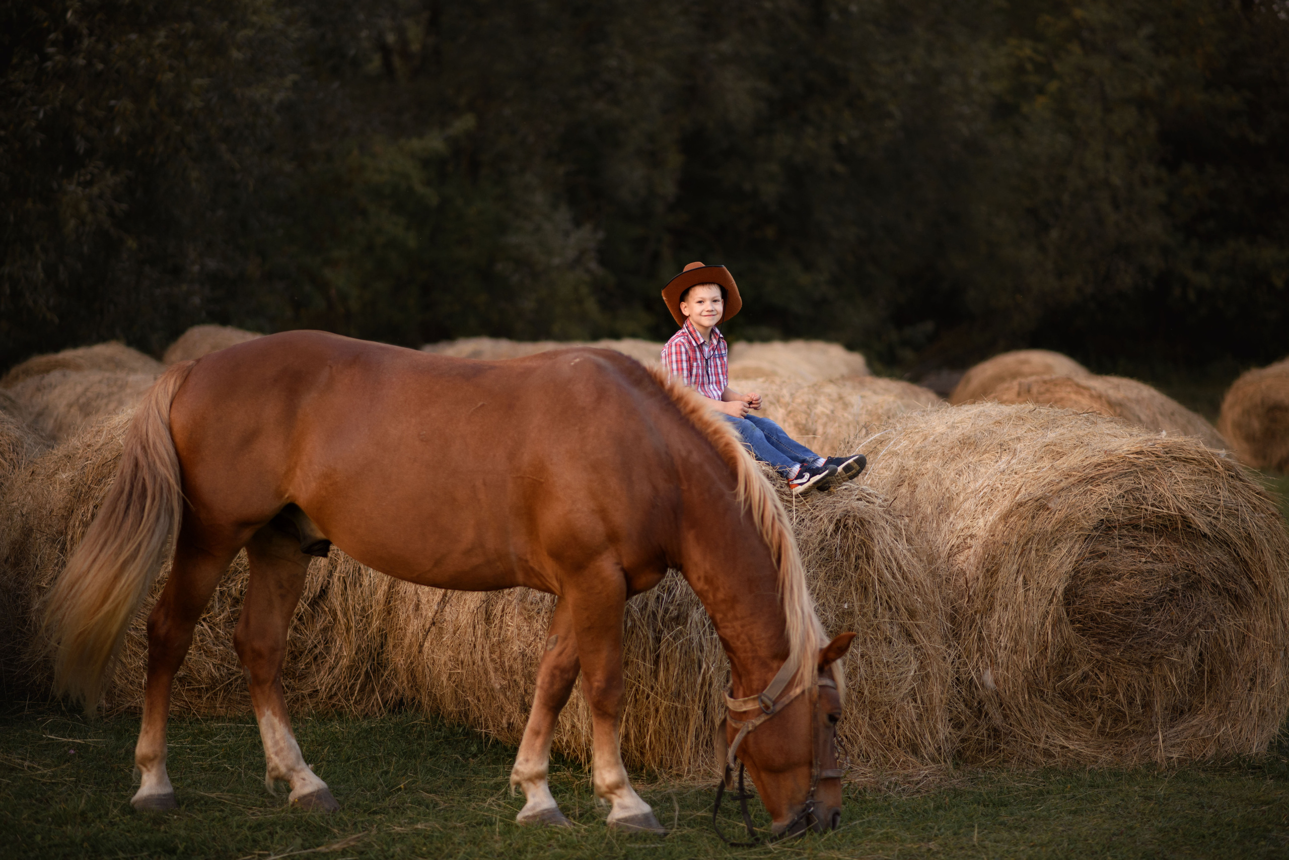 Летние съемки. Фотограф Тула, Москва Виктория Доманская