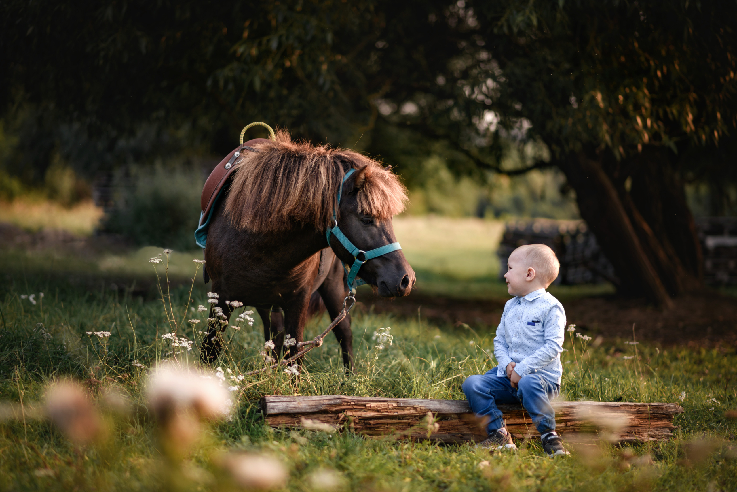 Летние съемки. Фотограф Тула, Москва Виктория Доманская