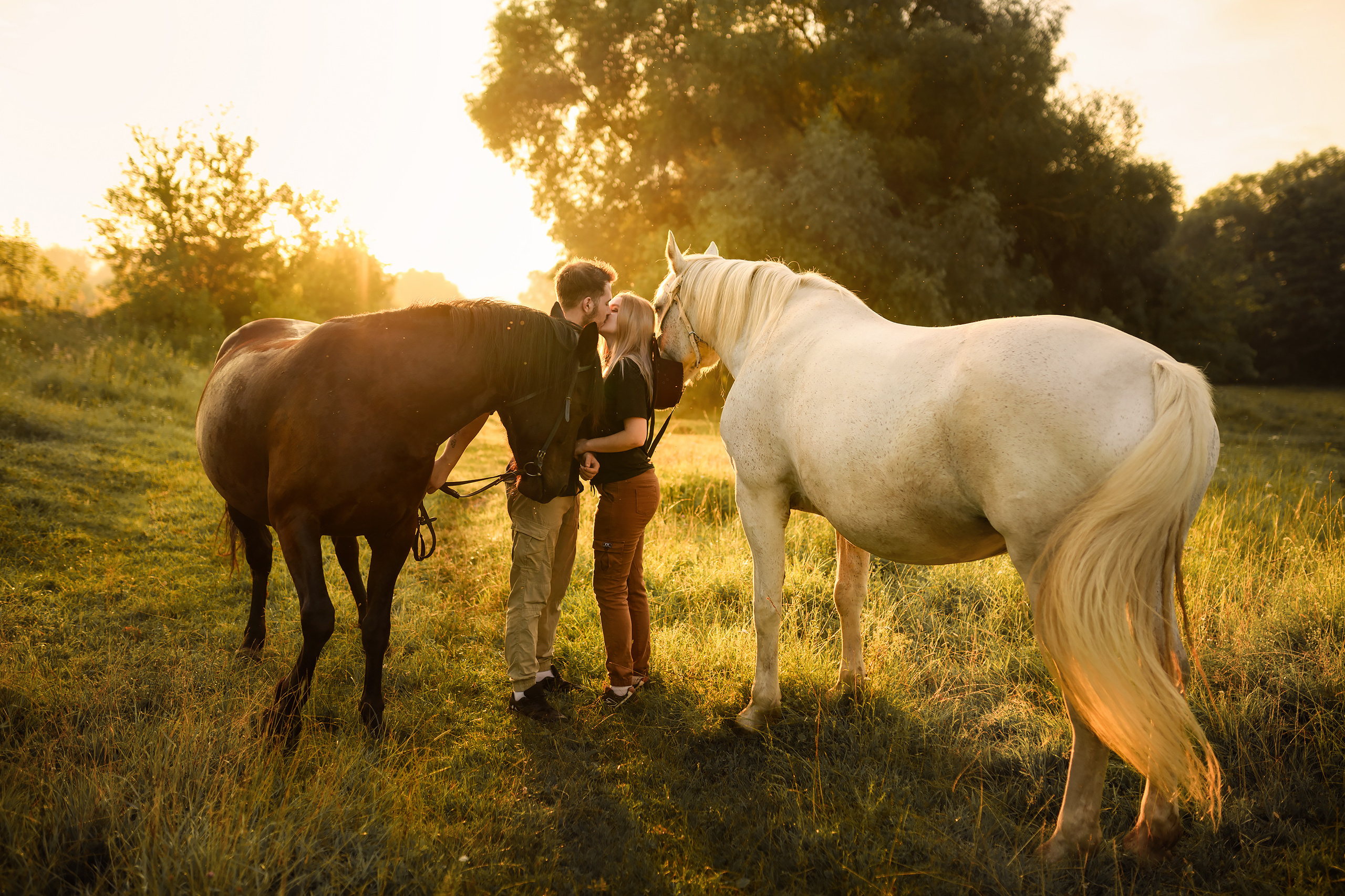 Love story с лошадьми. Фотограф Тула, Москва Виктория Доманская