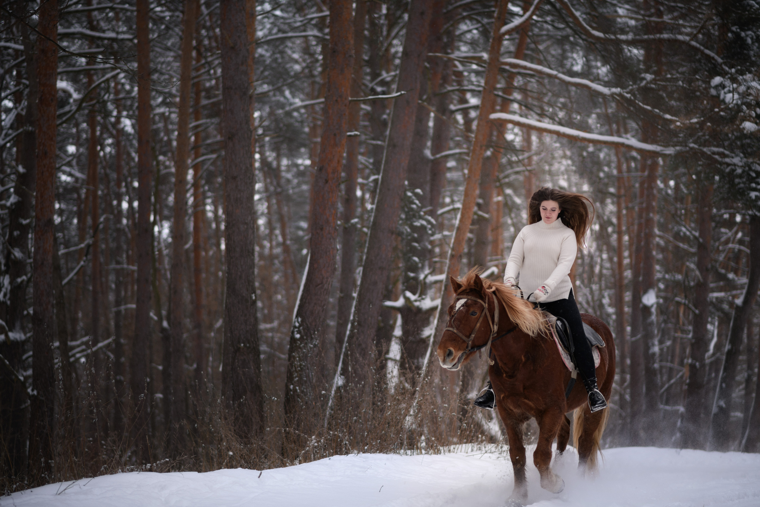 Зимние съемки. Фотограф Тула, Москва Виктория Доманская
