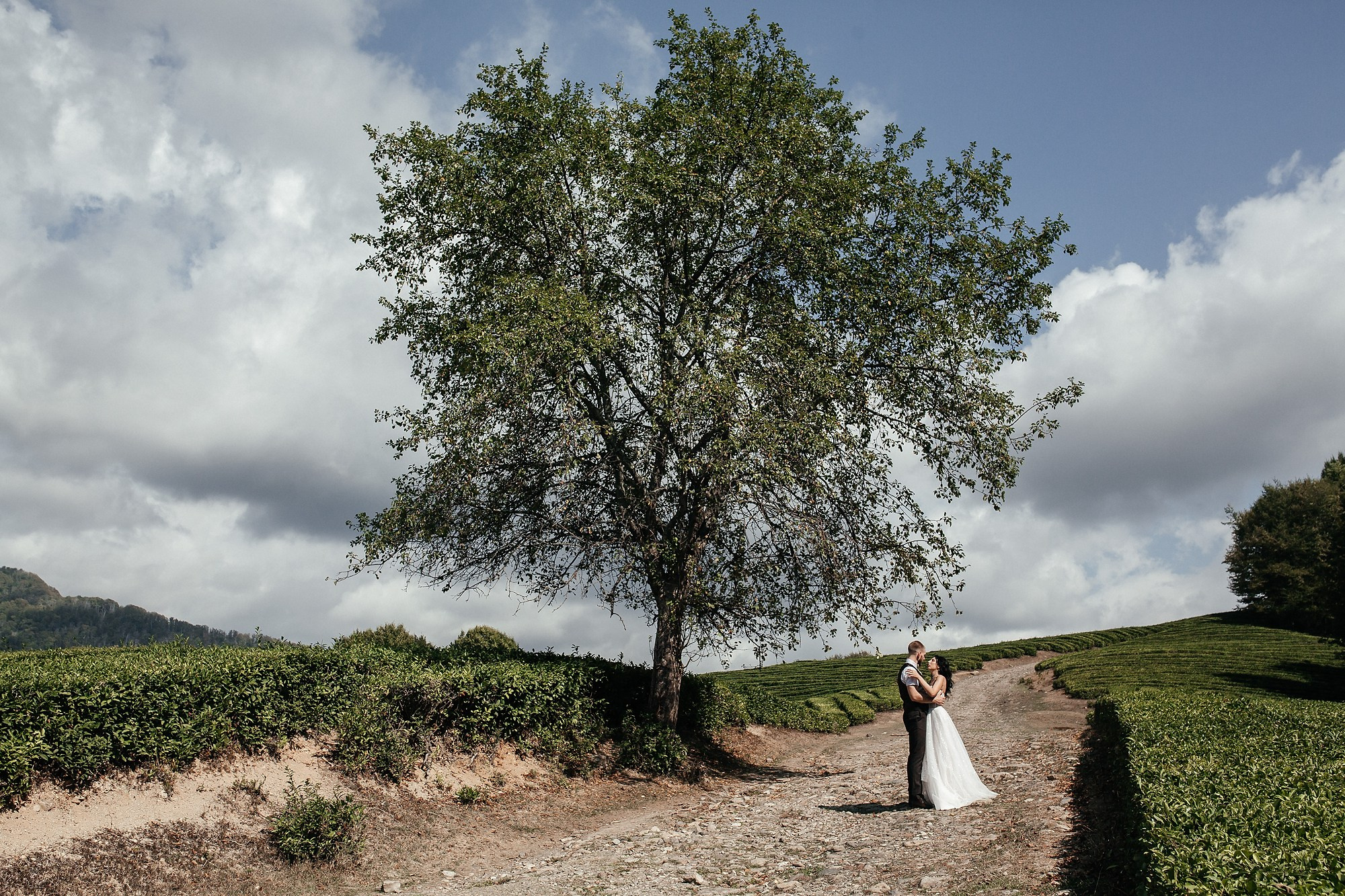 фотосессия на чайных плантациях сочи