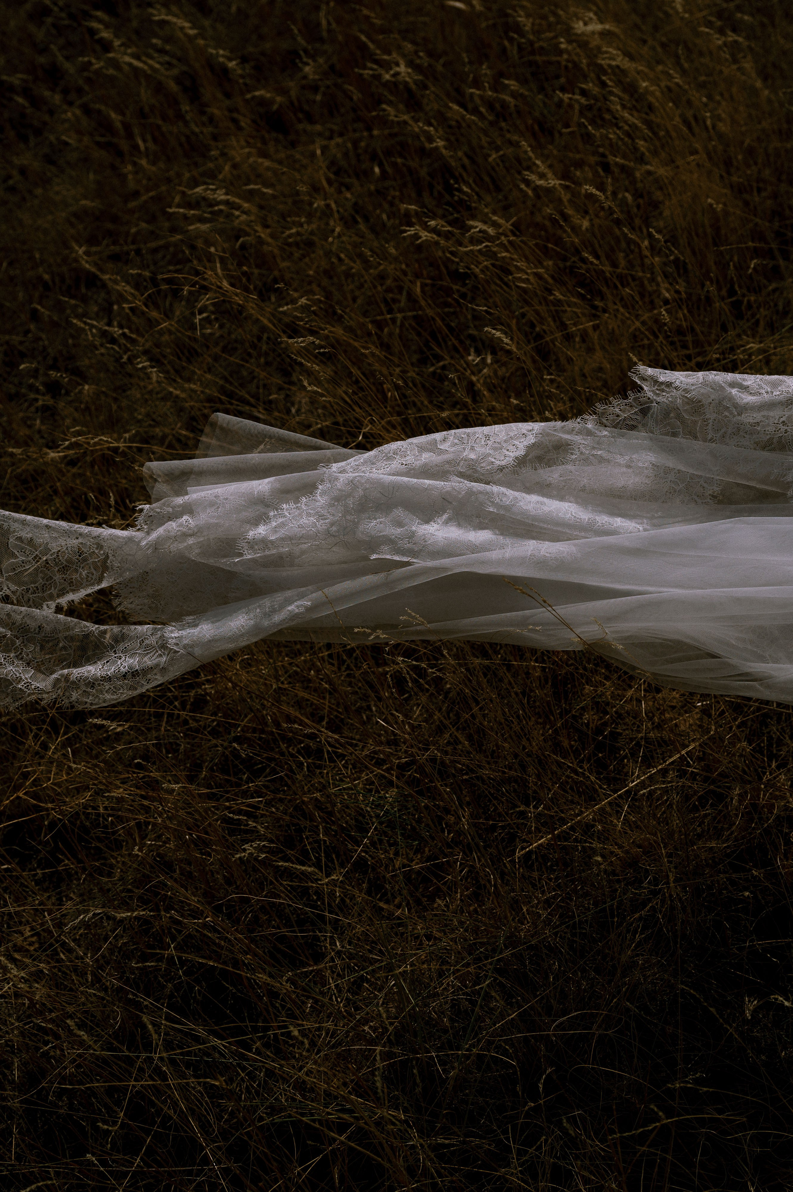 Ветер степи. Свадебный фотограф в Астрахани и Москве