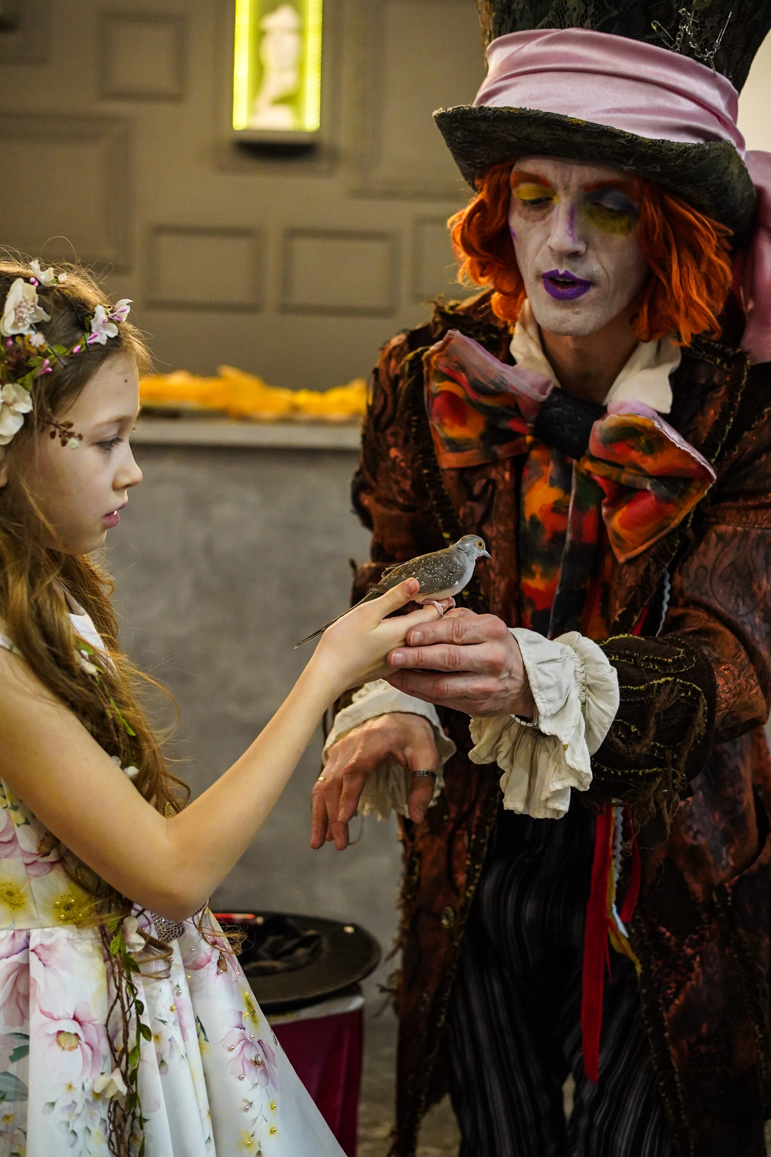 День Рождения Алиса в стране чудес. Фотограф