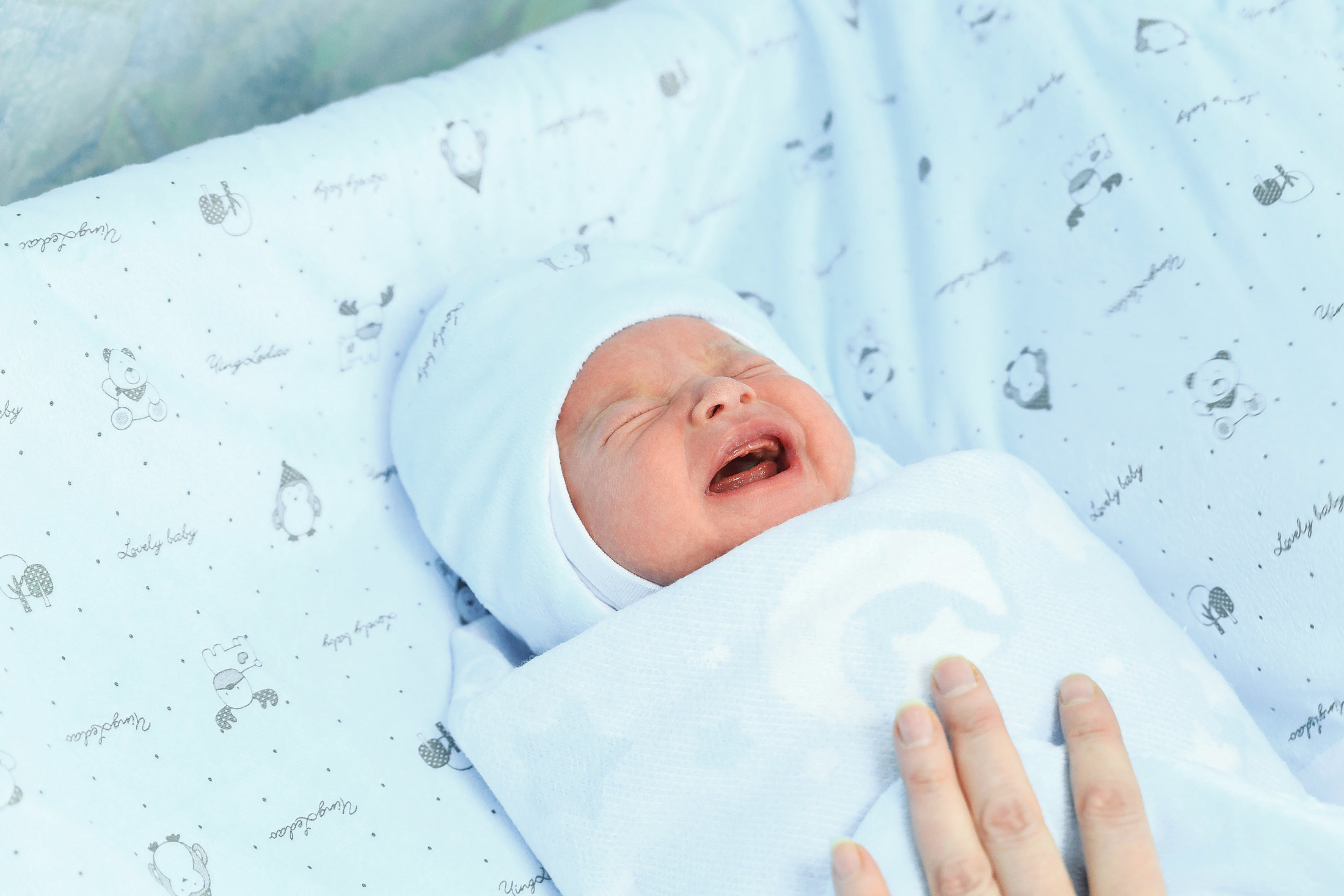 фотограф на выписку пермь