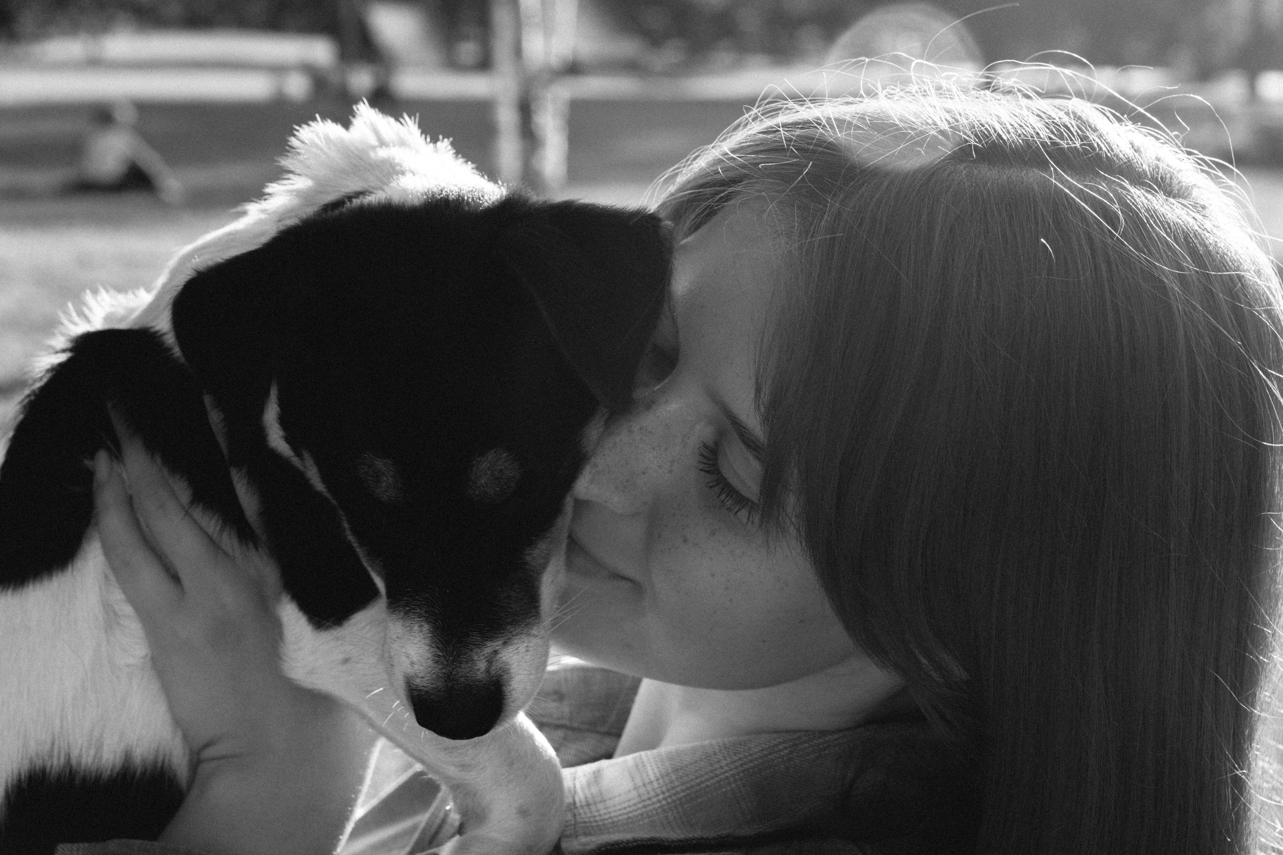 Аня и Луна. Фотограф и видеограф в Тюмени Екатерина Чернецкая