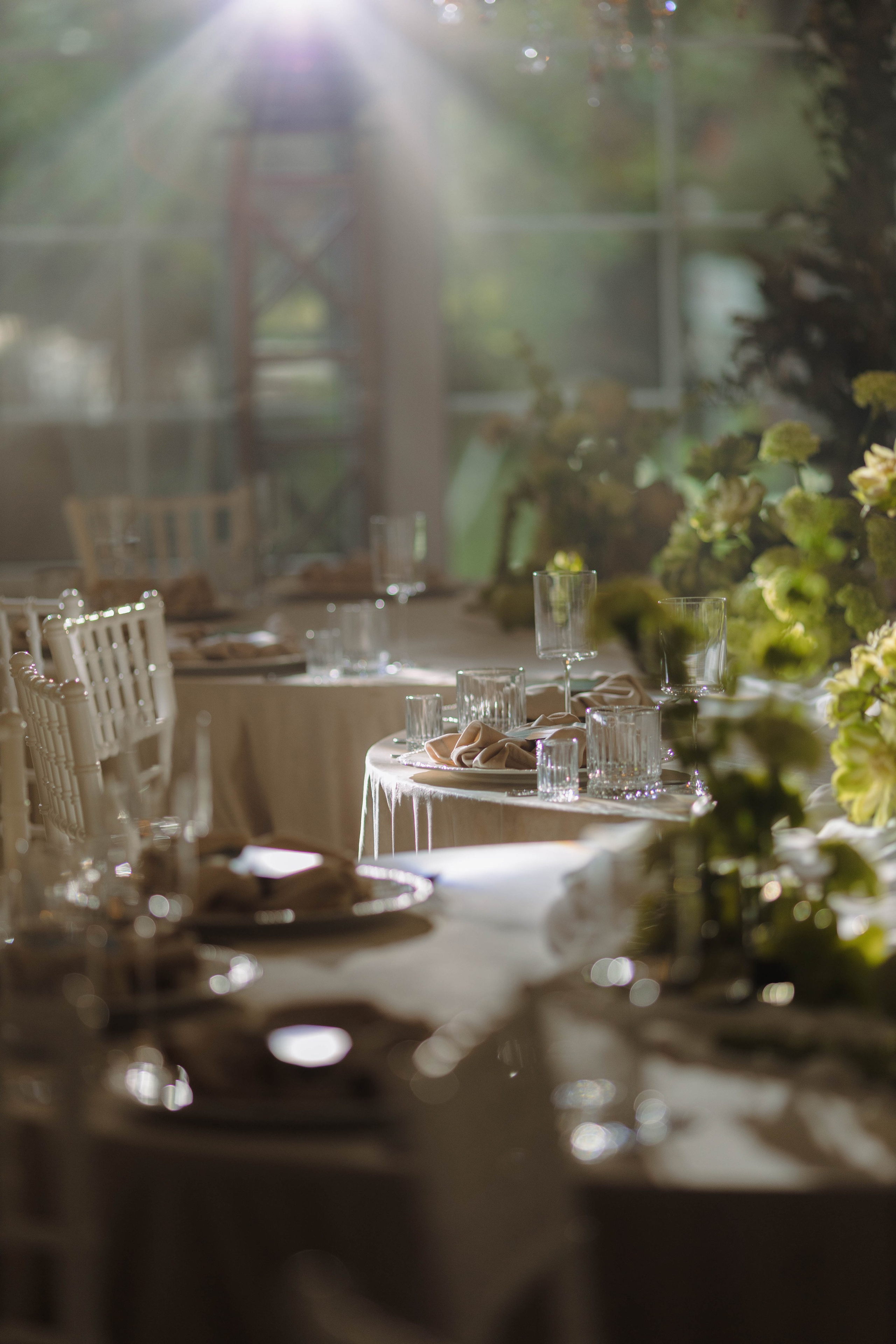 Зеленый сад