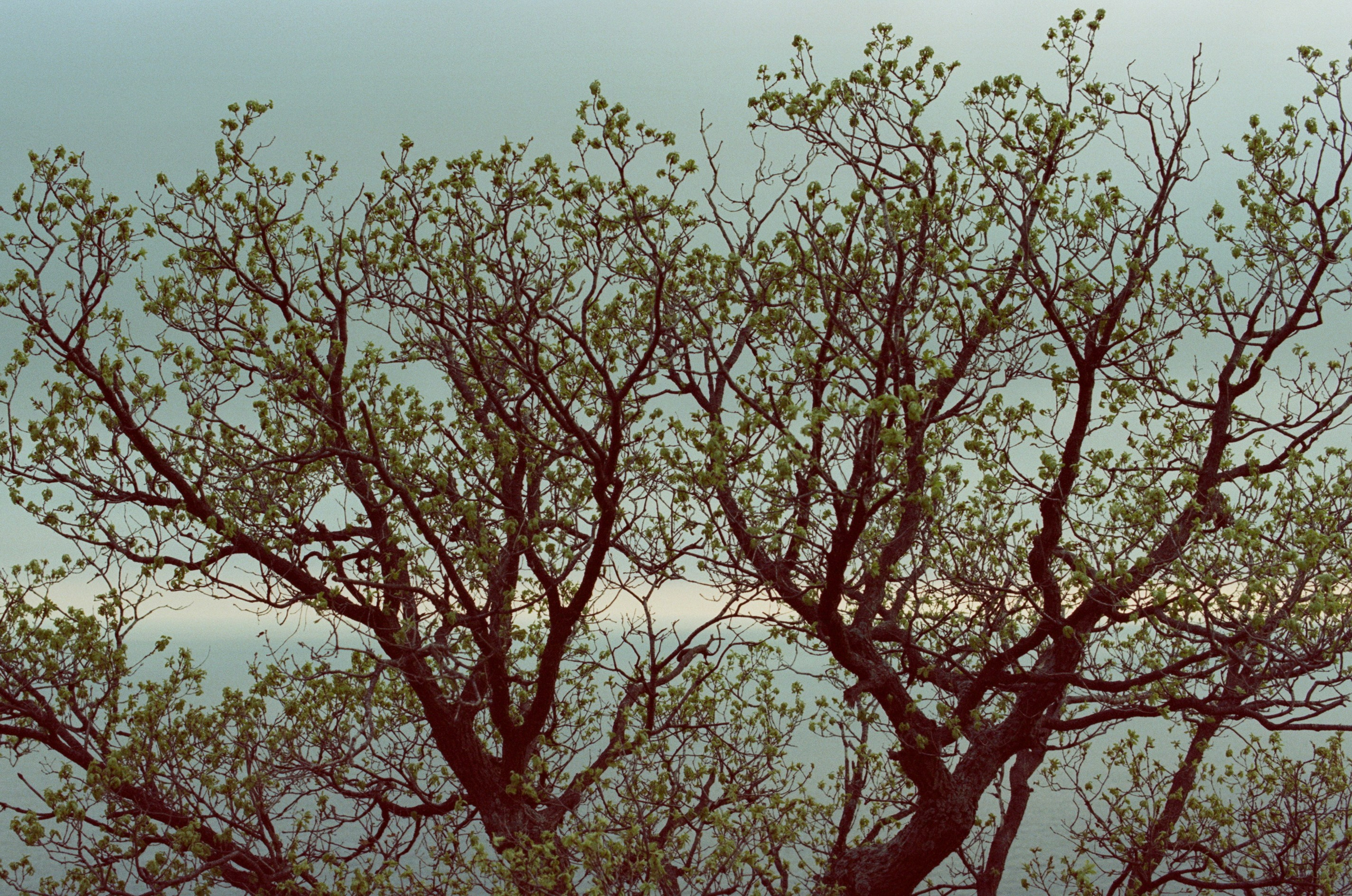 Follow you // ukraine, crimea. EVER EXPOSED