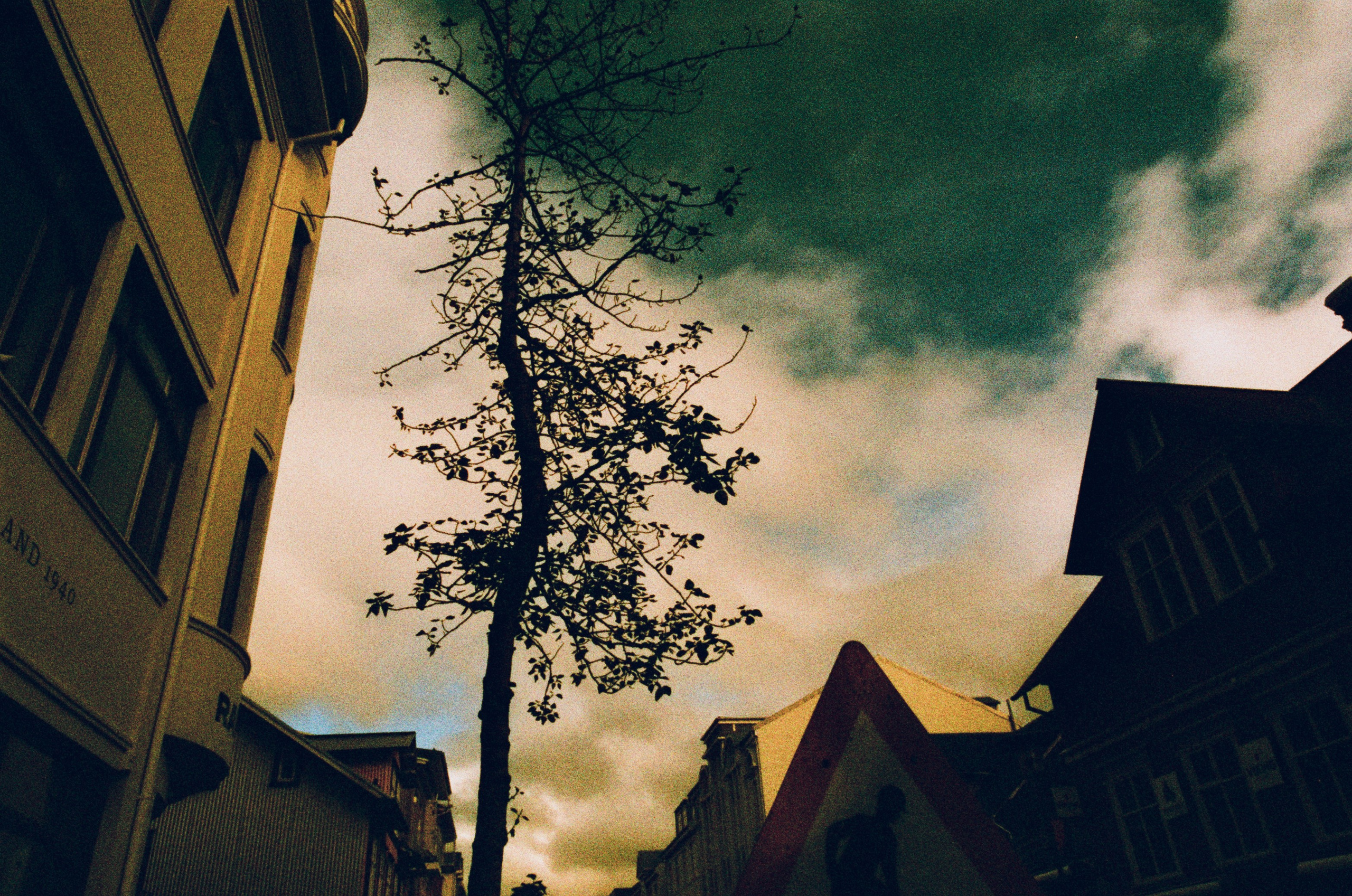 Run no more // iceland, reykjavik III. EVER EXPOSED