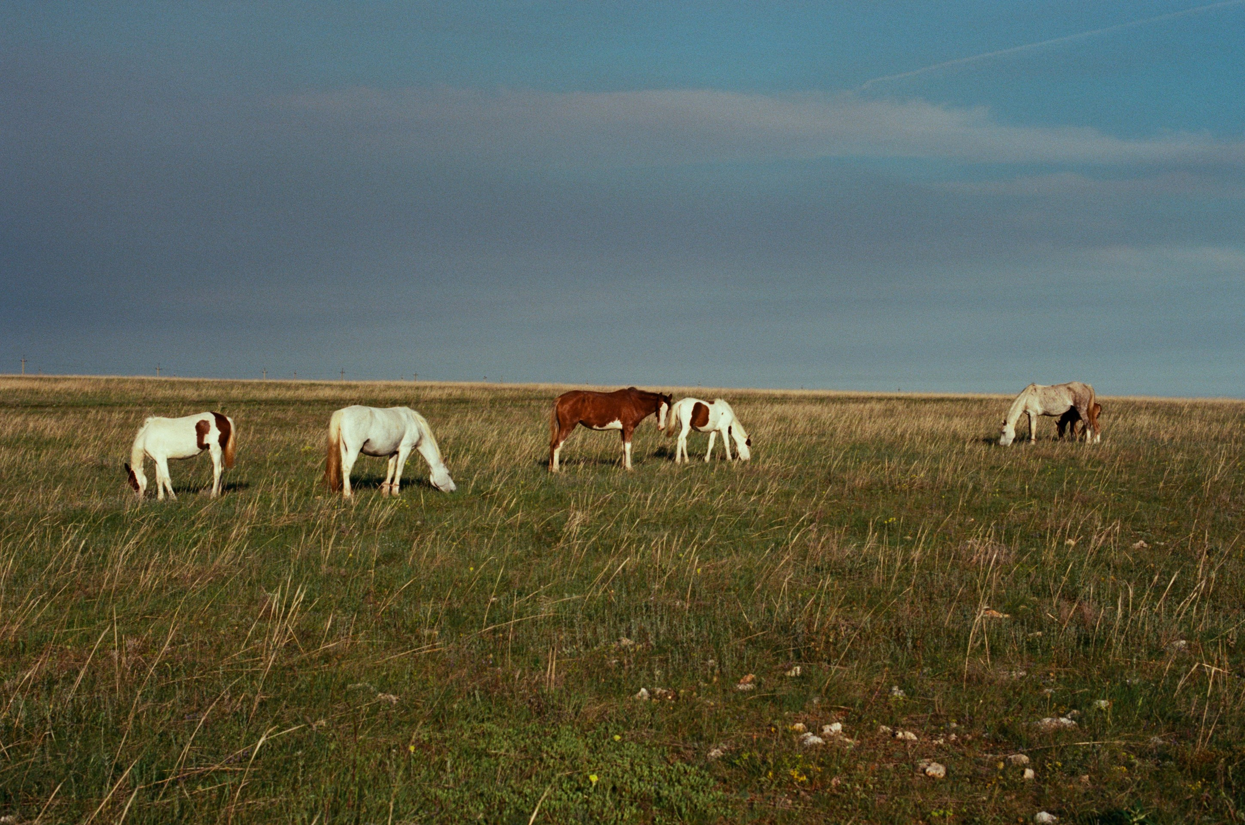 The drugs don't work // ukraine, crimea II. EVER EXPOSED
