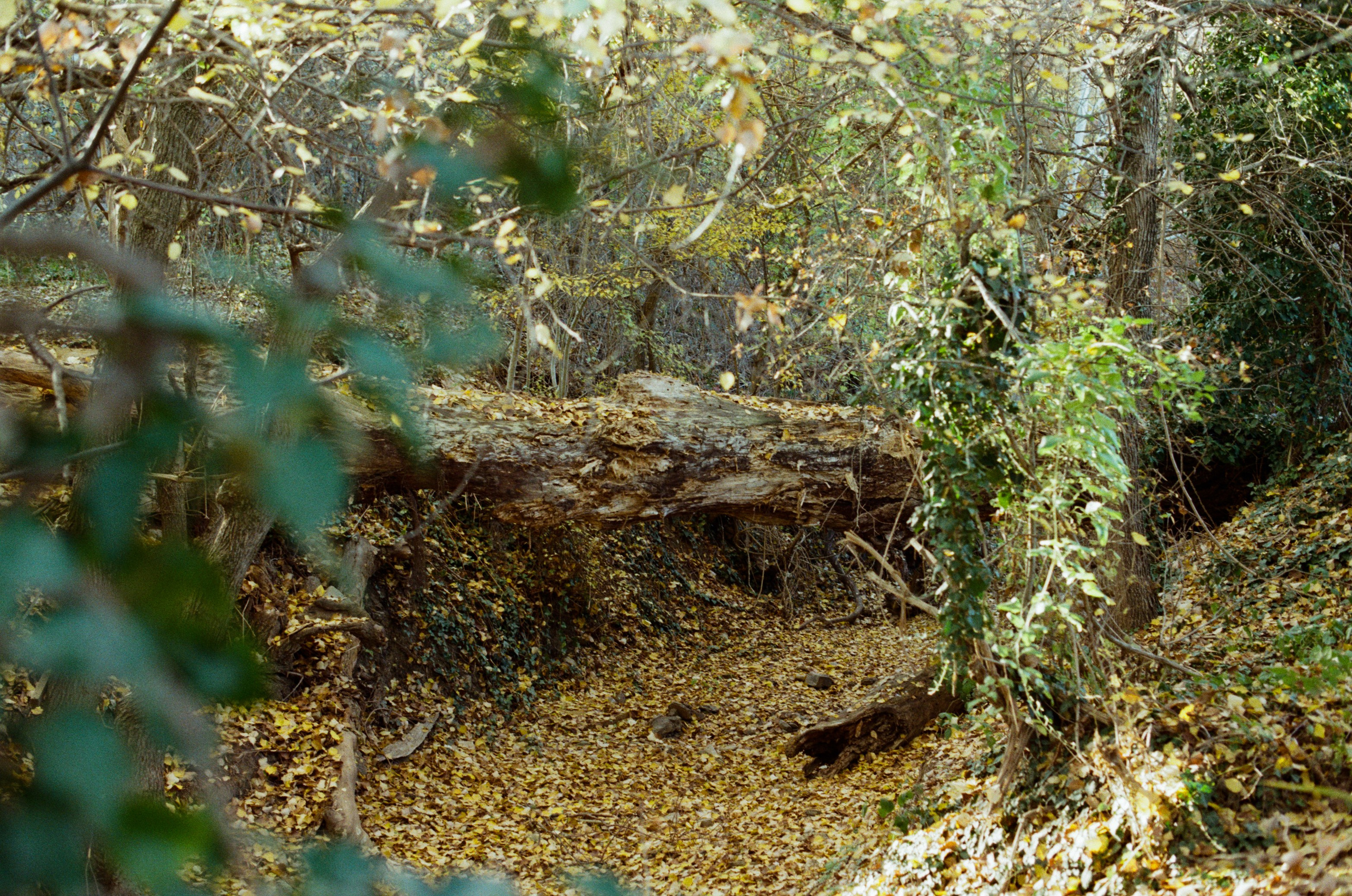 Wherever you will go // ukraine, crimea IV. EVER EXPOSED