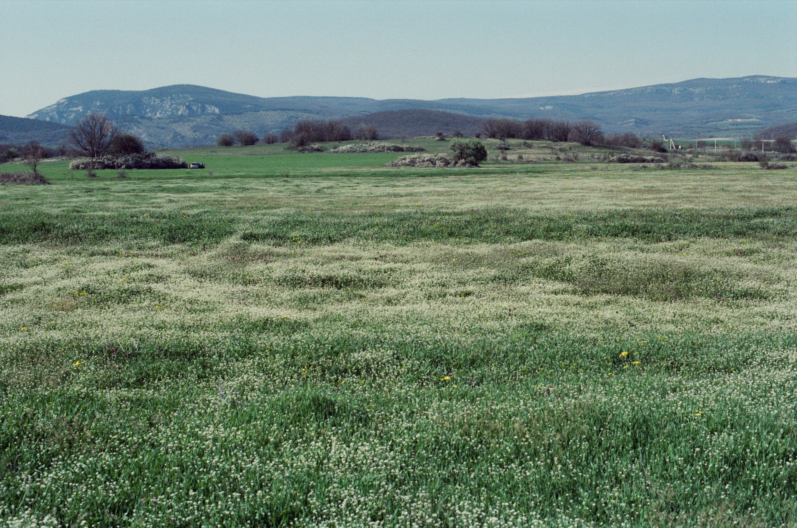 Some kind of madness // ukraine, crimea III. EVER EXPOSED