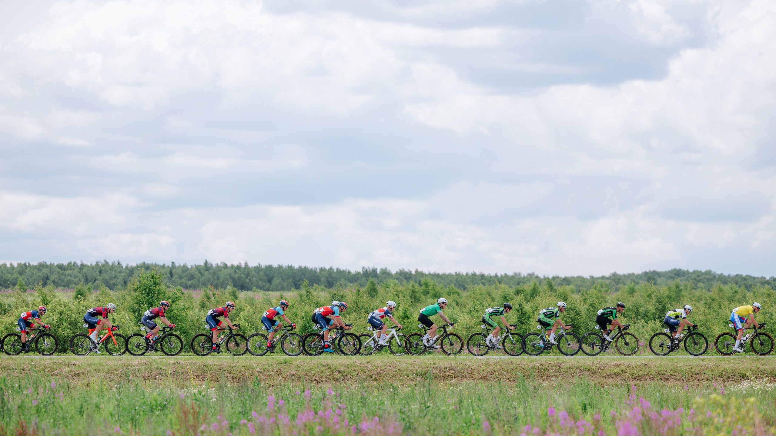 Канадский Степан