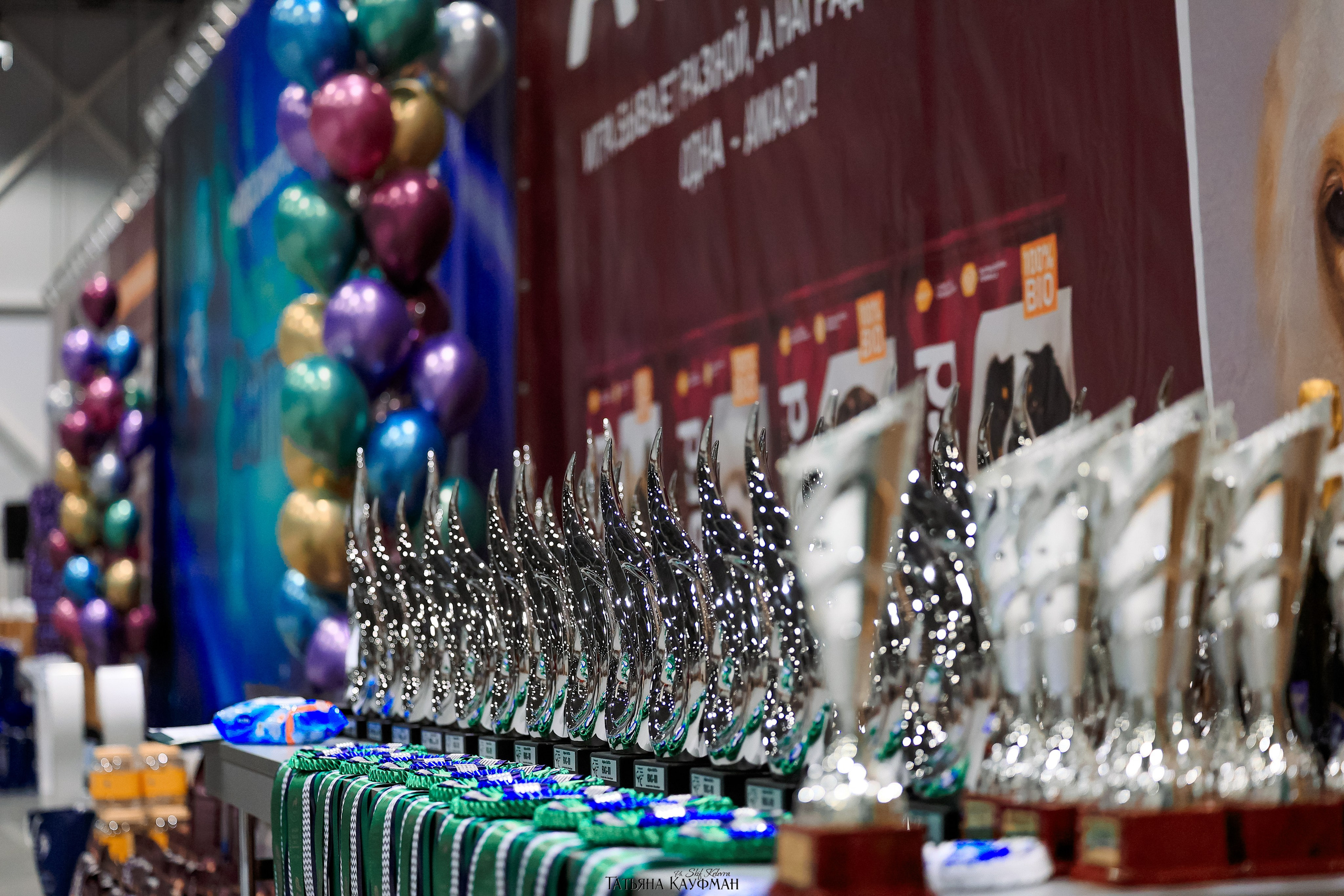 28-29.03.2026 Рейтинговая выставка в Новосибирске. Фотограф Анималист из Новосибирска Татьяна Кауфман