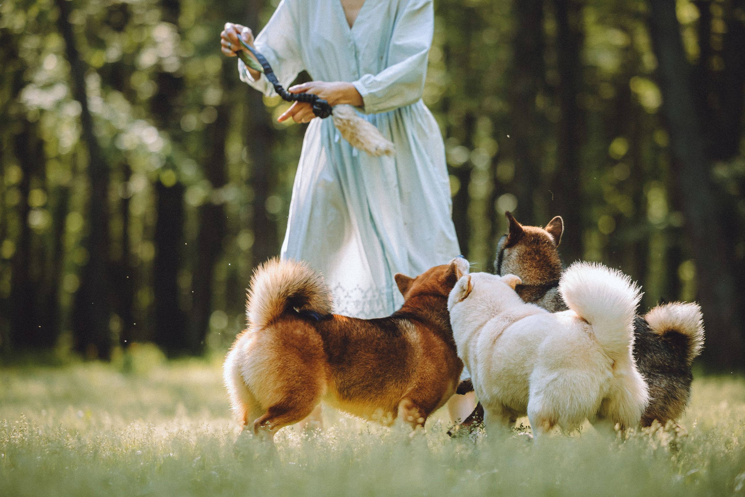 Шед, Цири, Чиби, Цера и их семья