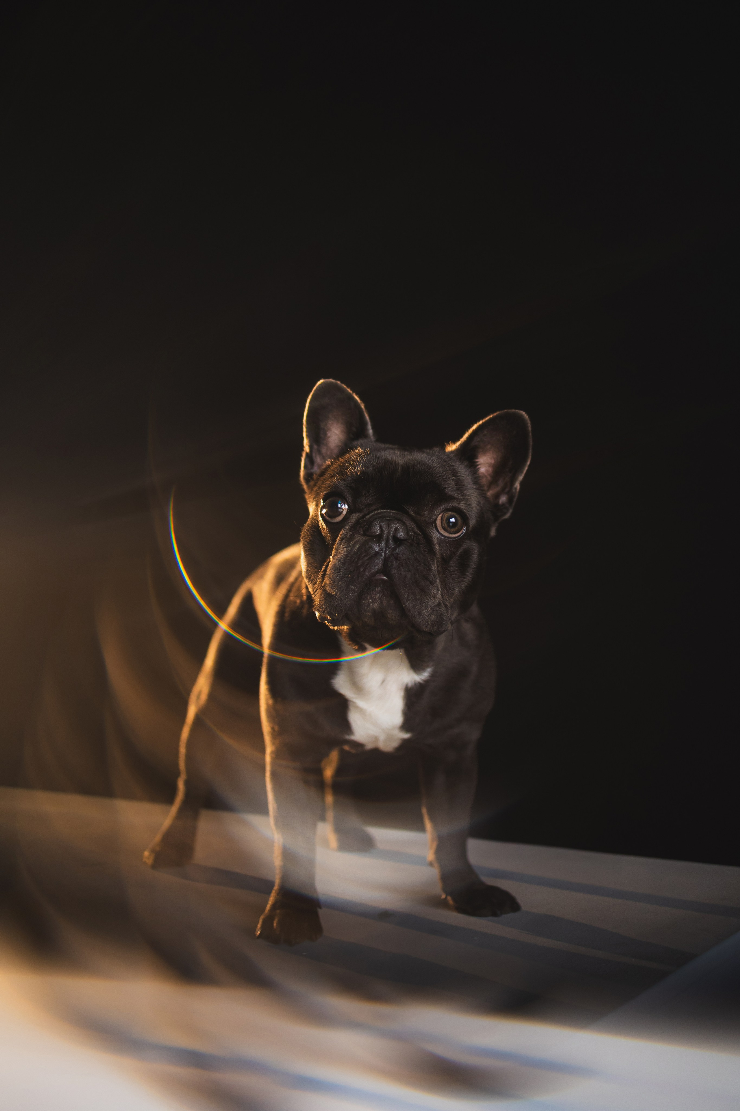 Кристина и Счастье