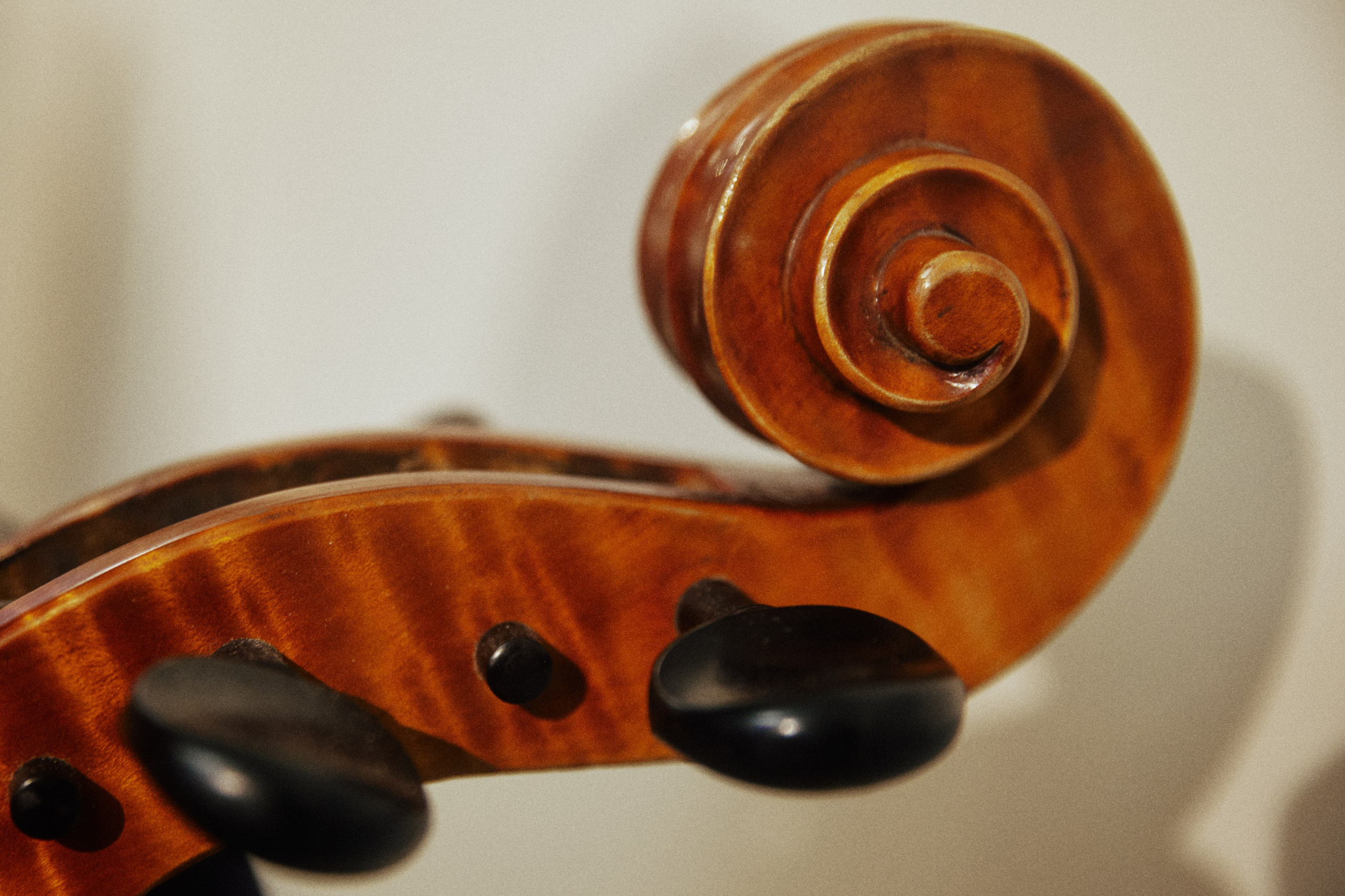 A NEW FAMILY TREE. Дмитрий Мазуркевич: Профессиональный Репортажный Фотограф