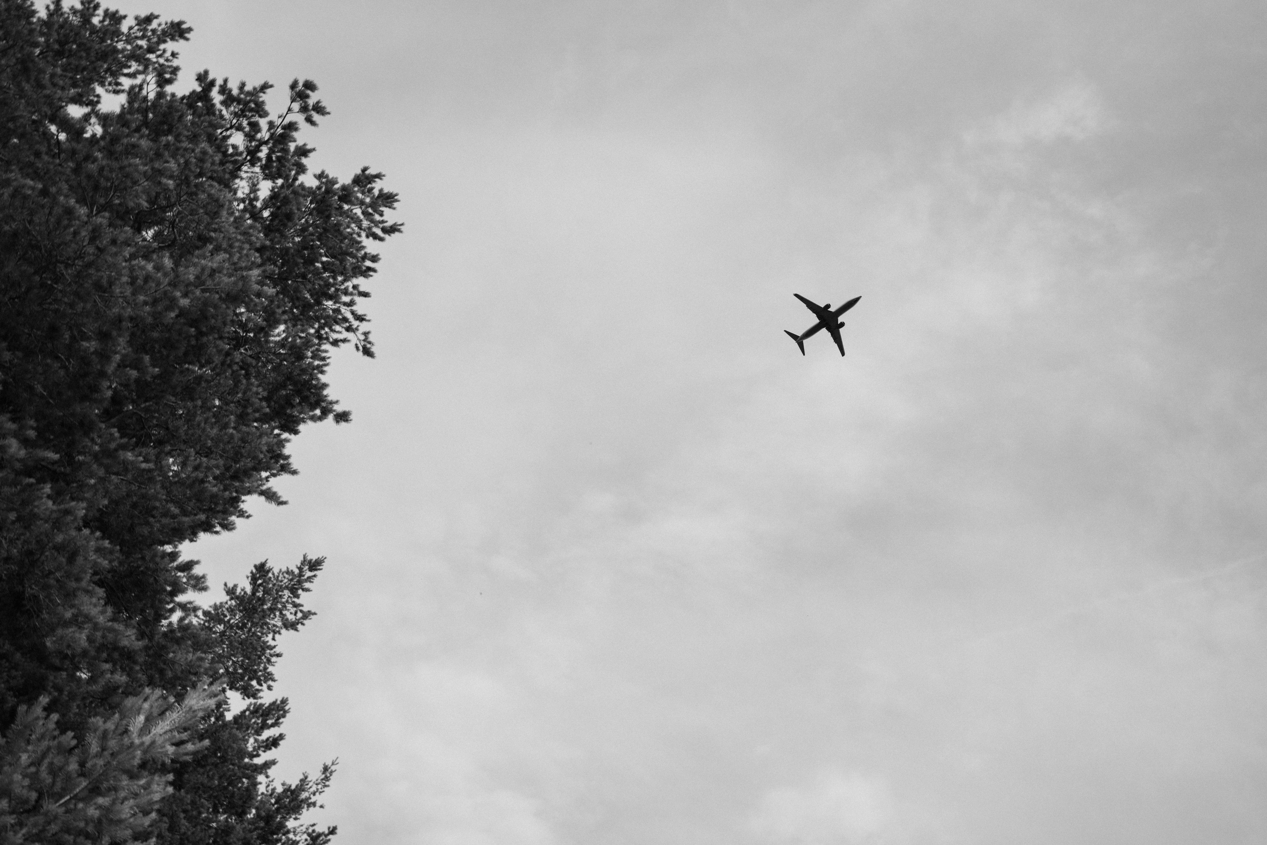 Артем и Полина. Таирова Гузель|Свадебный фотограф в Ульяновске
