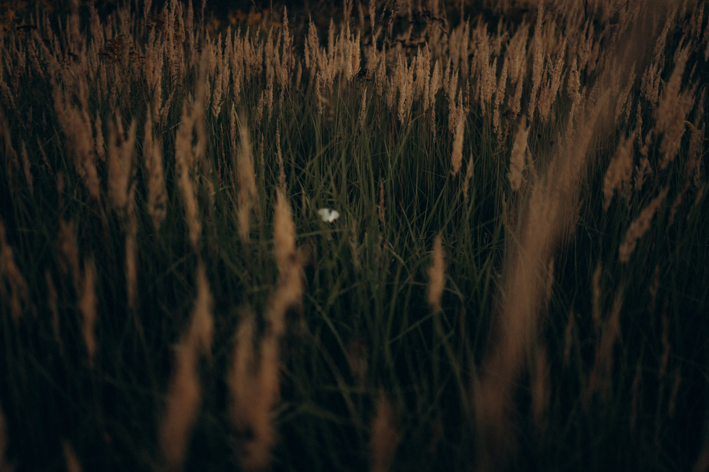 Мы же на ты 25 лет. Фотограф Daria Wilner