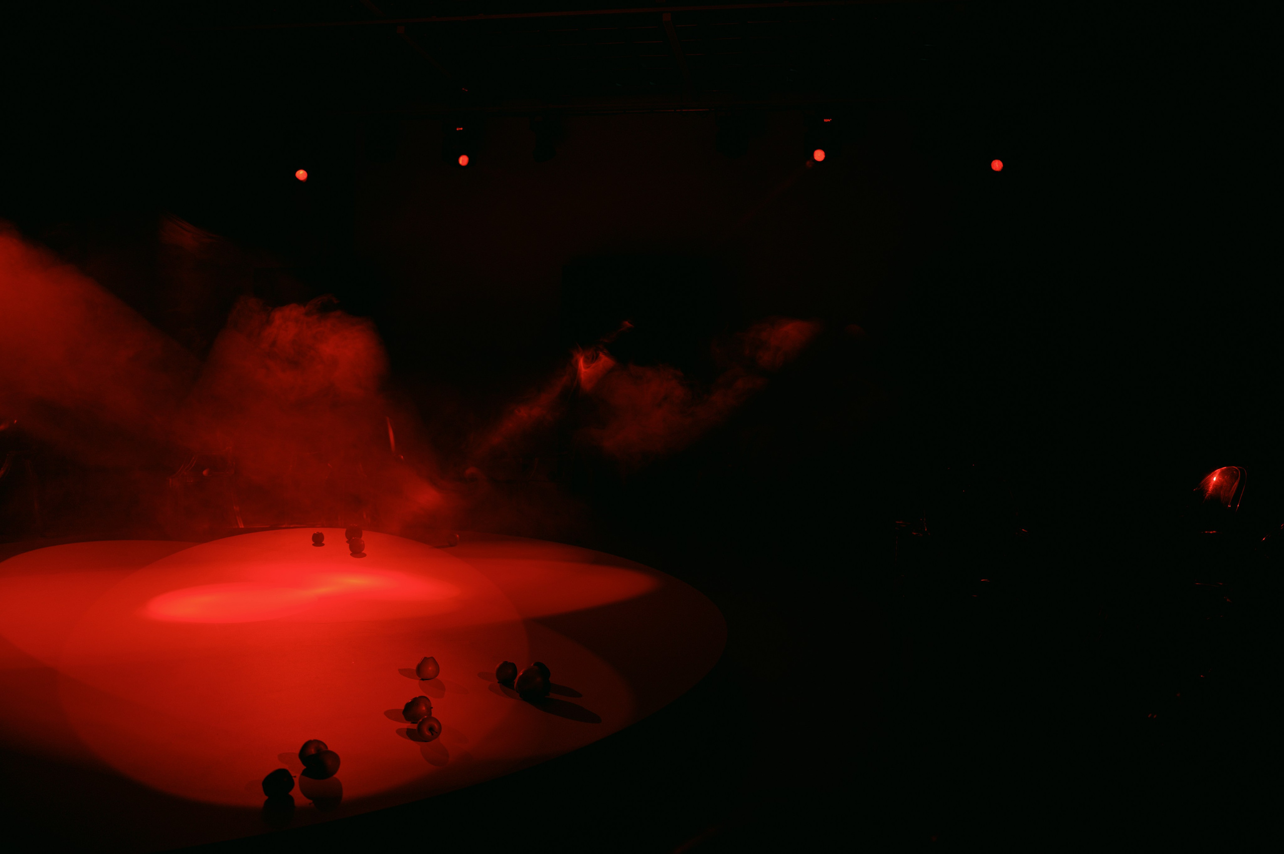 Перформанс СТЫД. Свадебный фотограф в Ростовe-на-Дону Анастасия Прутова