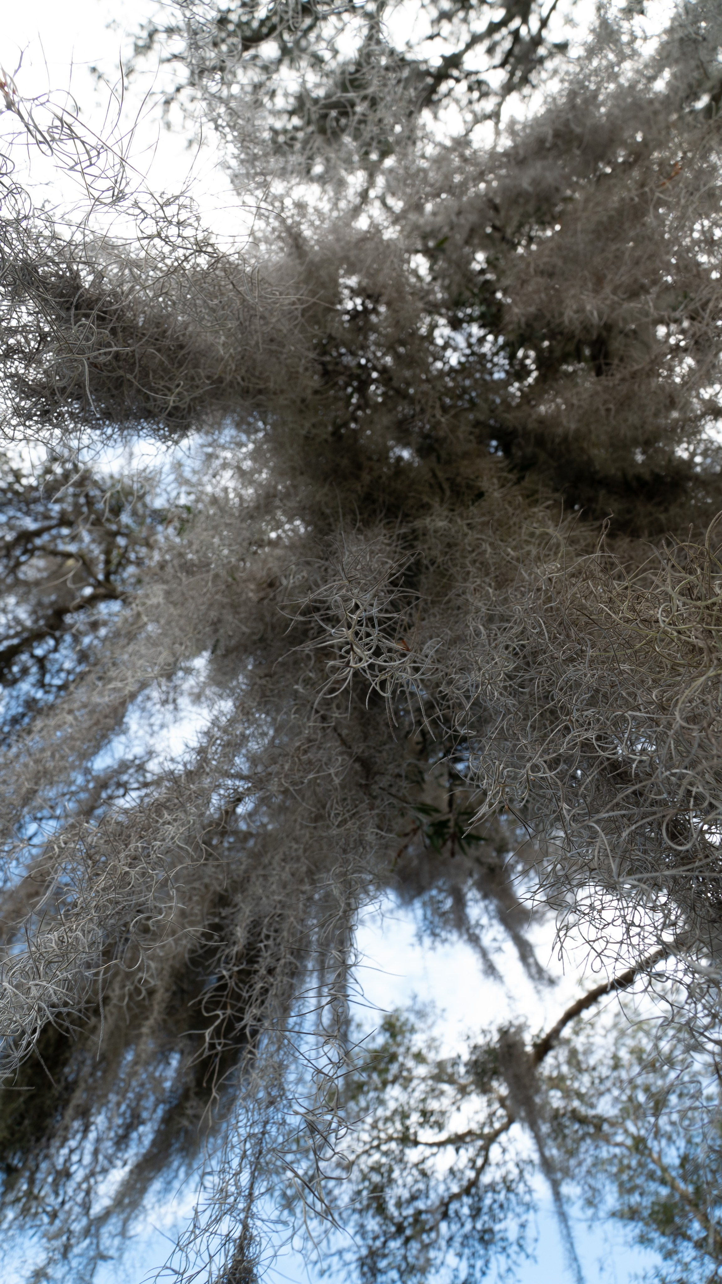 Guatape full. Wedding Photographer in Barcelona and Medellin