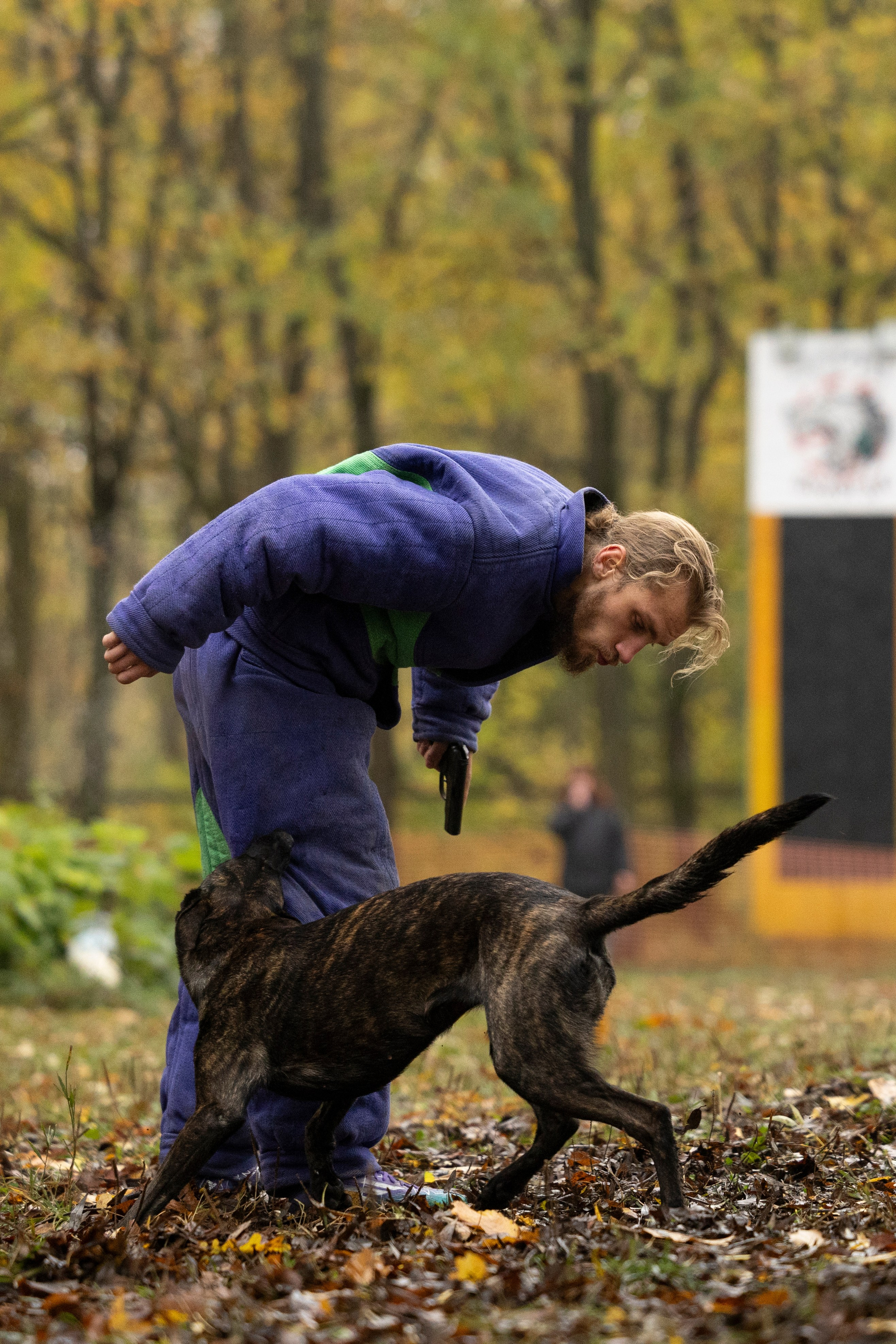 Соревнования по Мондьорингу г. Вологда. Фотограф-анималист Анна Маринич