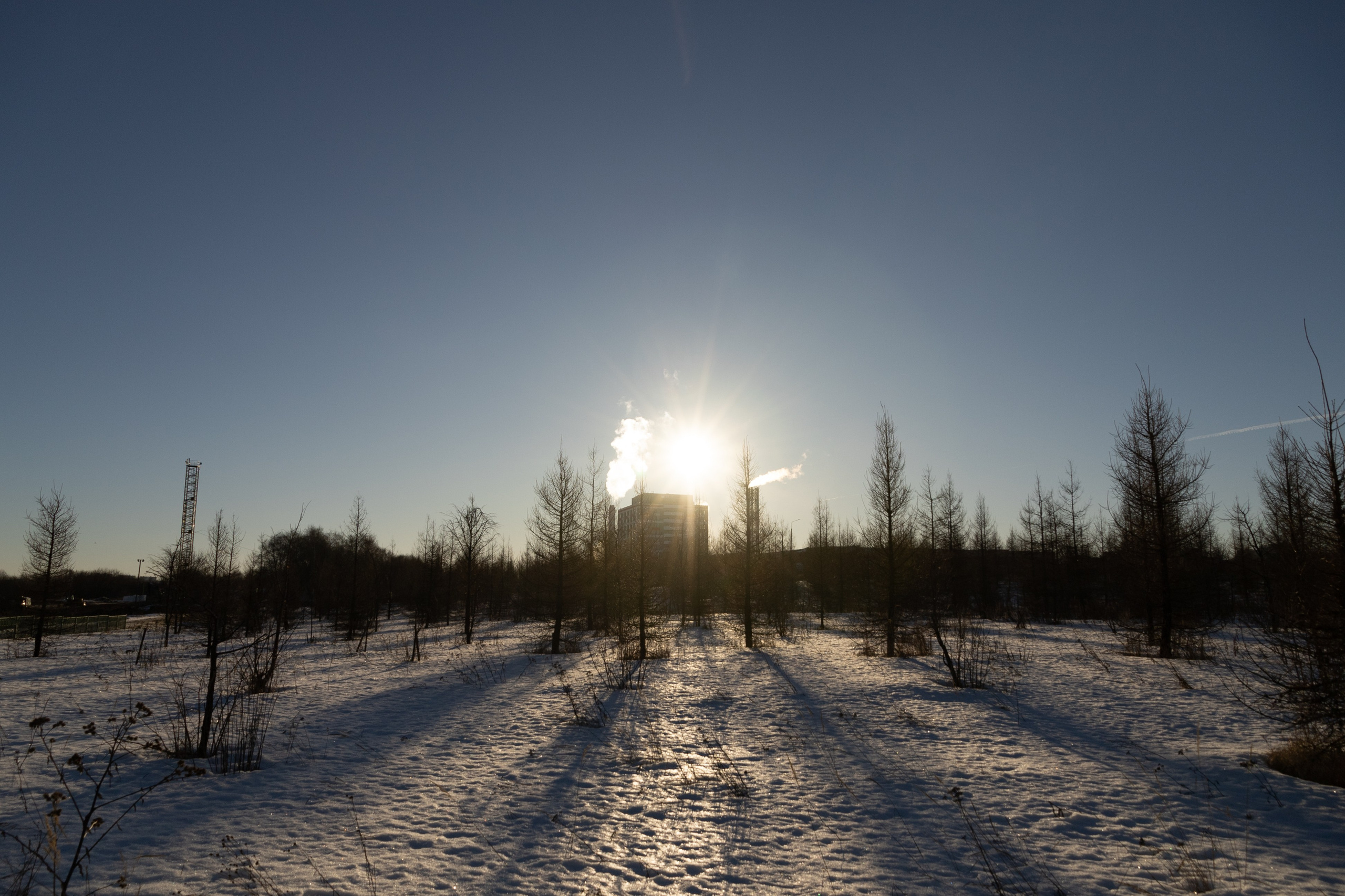 Я здесь живу. DASHA KALNINA