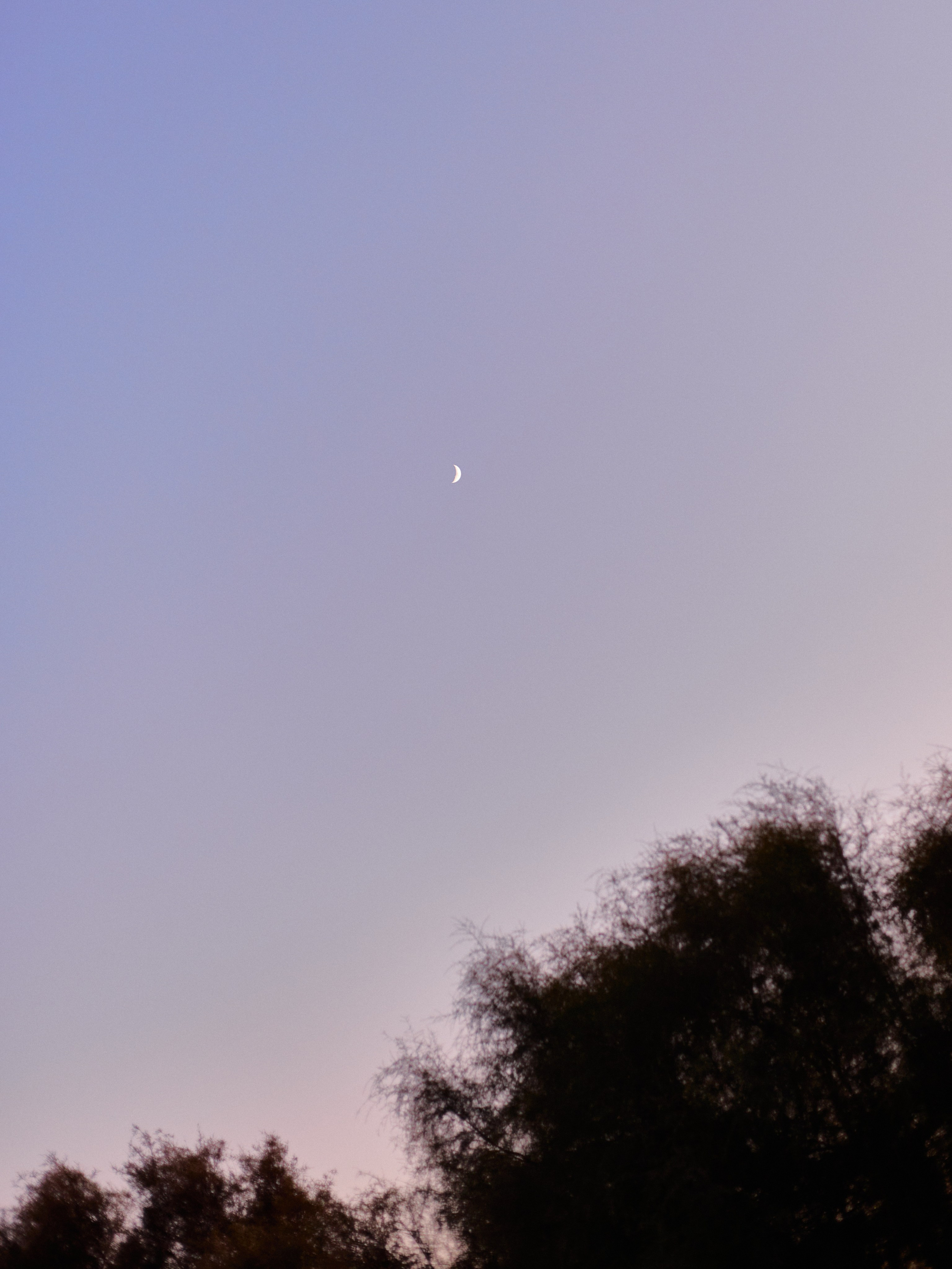 Другое 3. Jorgis Talè — photographer, kind person, teacher of arts and other mag