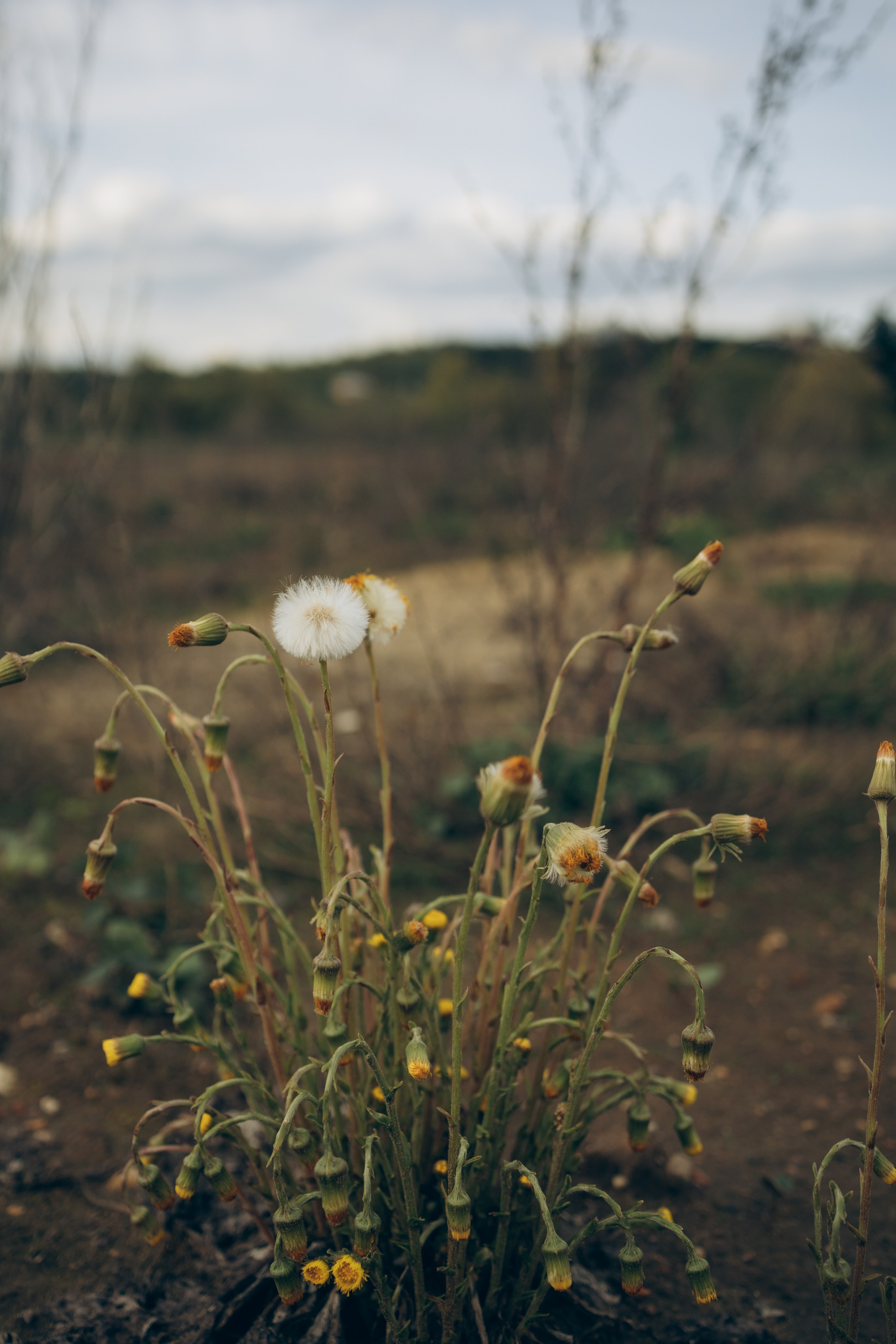 Istra. Женский фотограф Истра