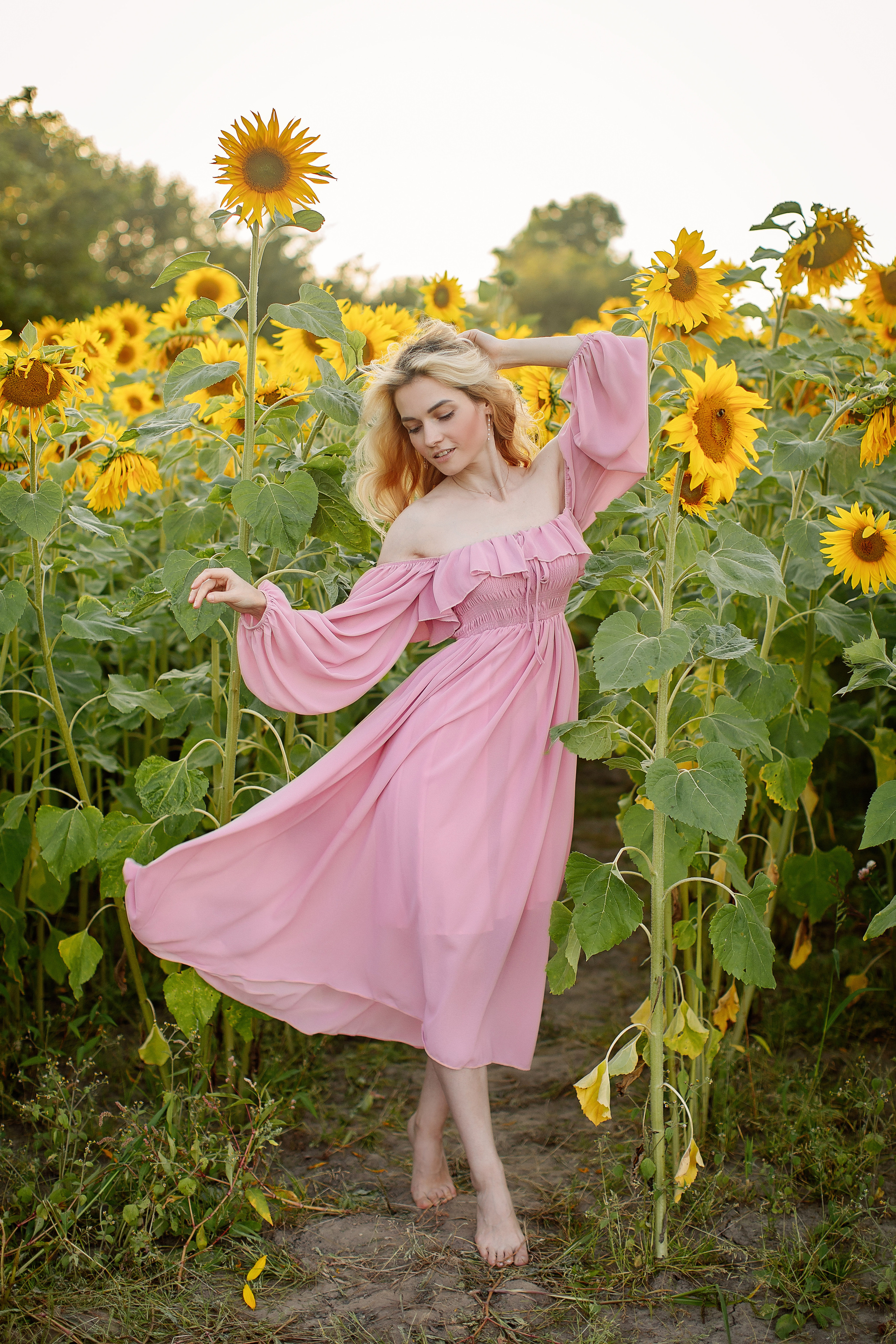 Съёмка в подсолнухах. Свадебный и семейный фотограф в Калининграде Макарова Татьяна