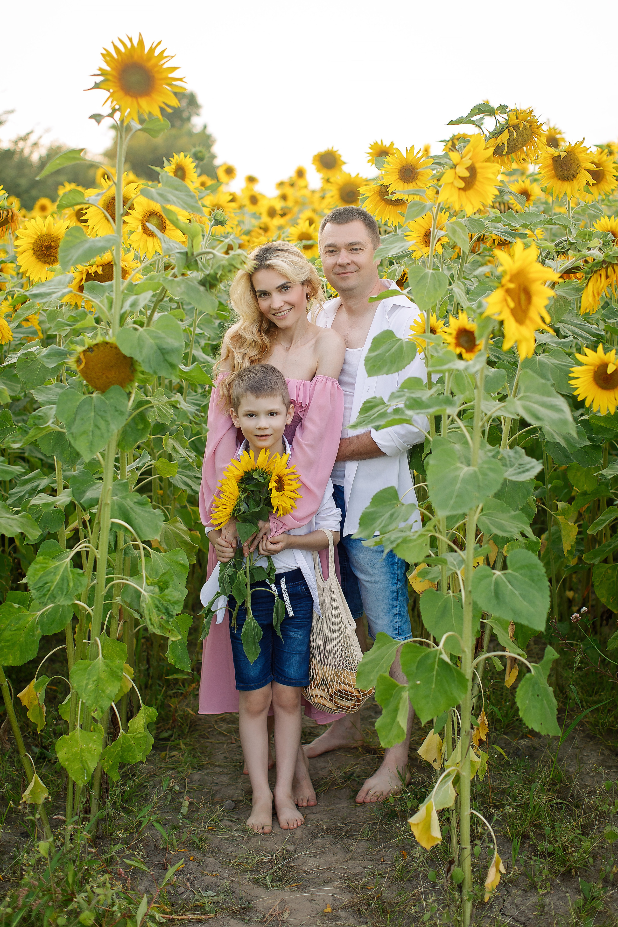 Съёмка в подсолнухах. Свадебный и семейный фотограф в Калининграде Макарова Татьяна