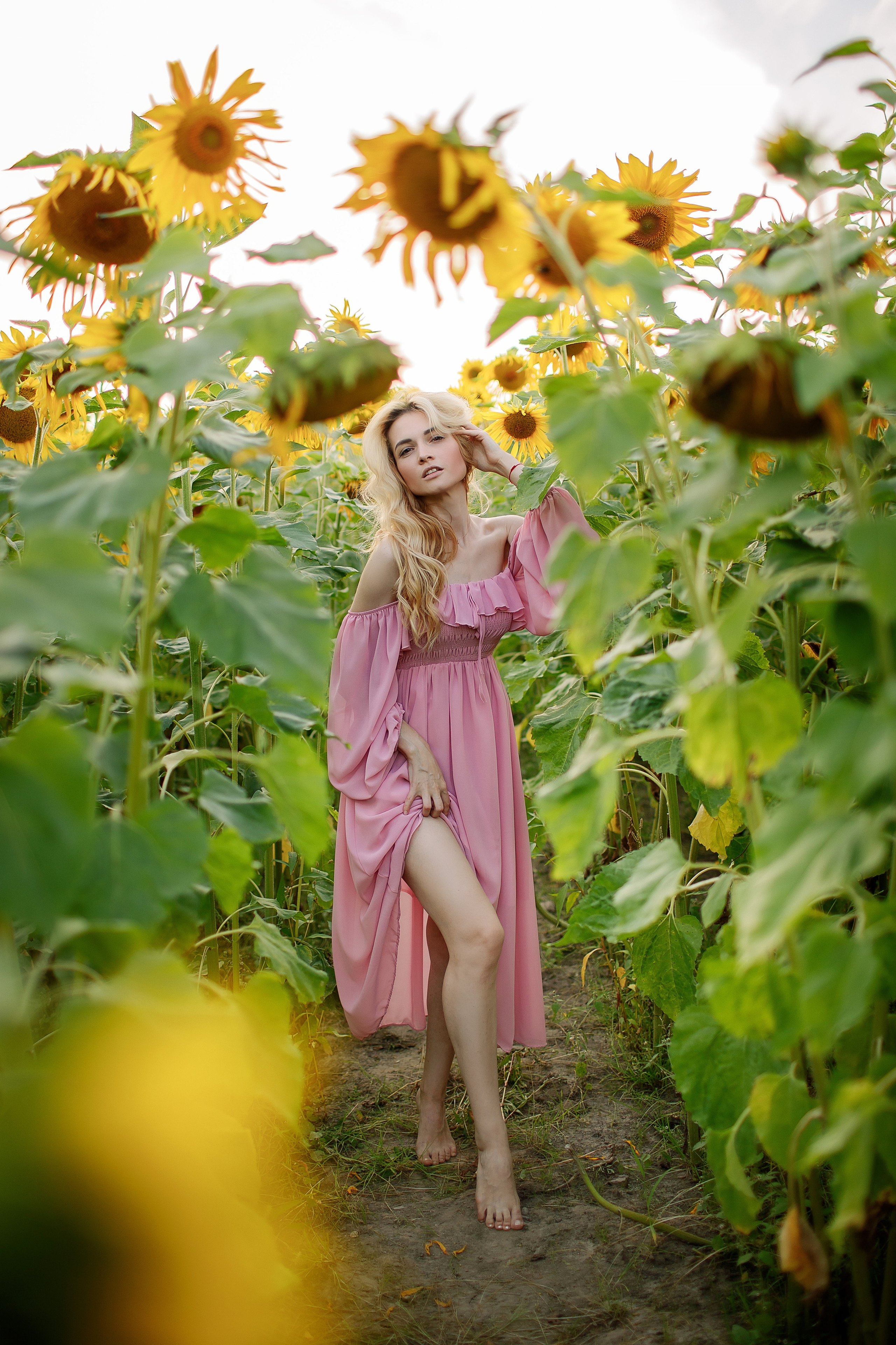 Съёмка в подсолнухах. Свадебный и семейный фотограф в Калининграде Макарова Татьяна