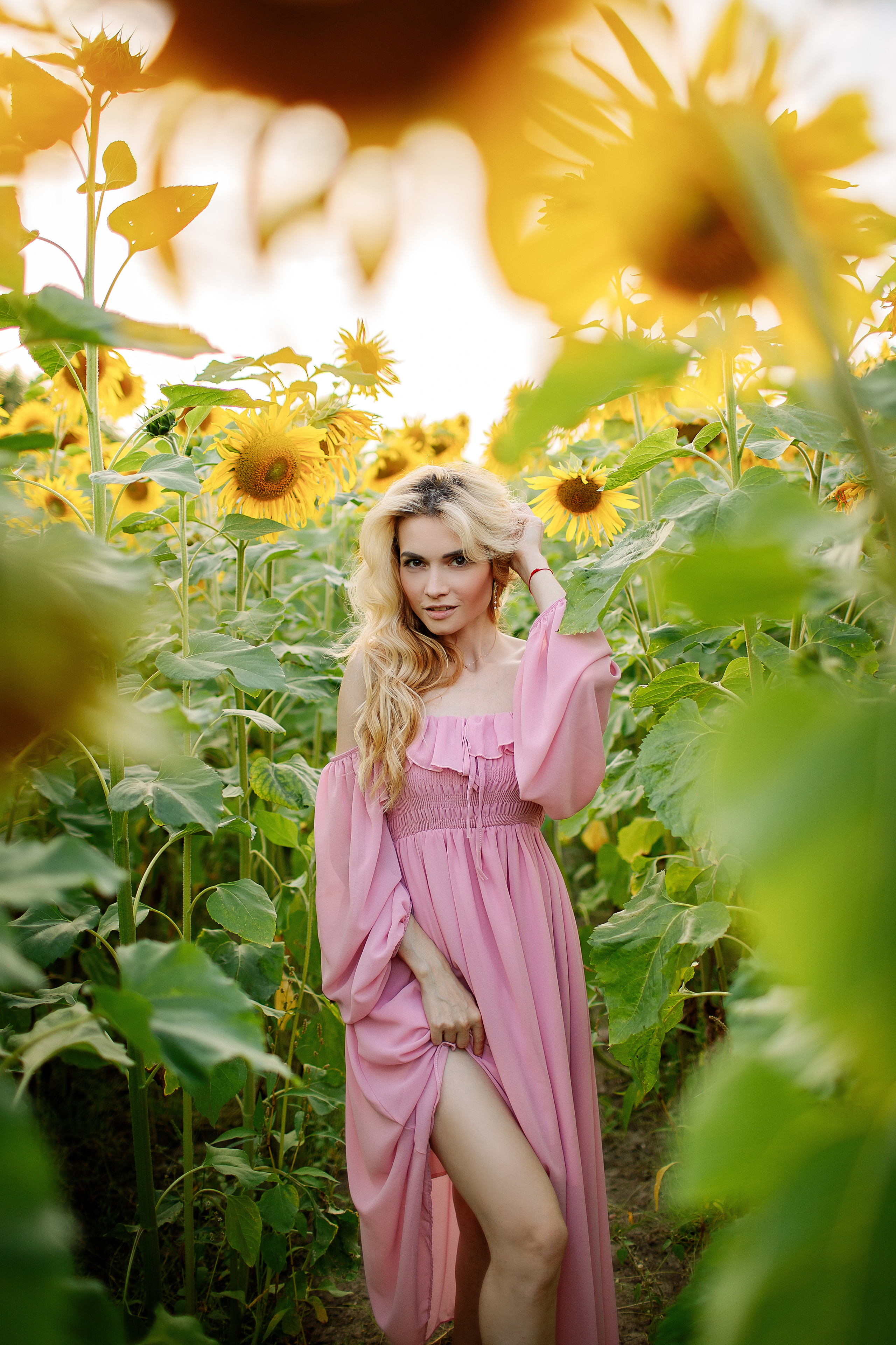 Съёмка в подсолнухах. Свадебный и семейный фотограф в Калининграде Макарова Татьяна