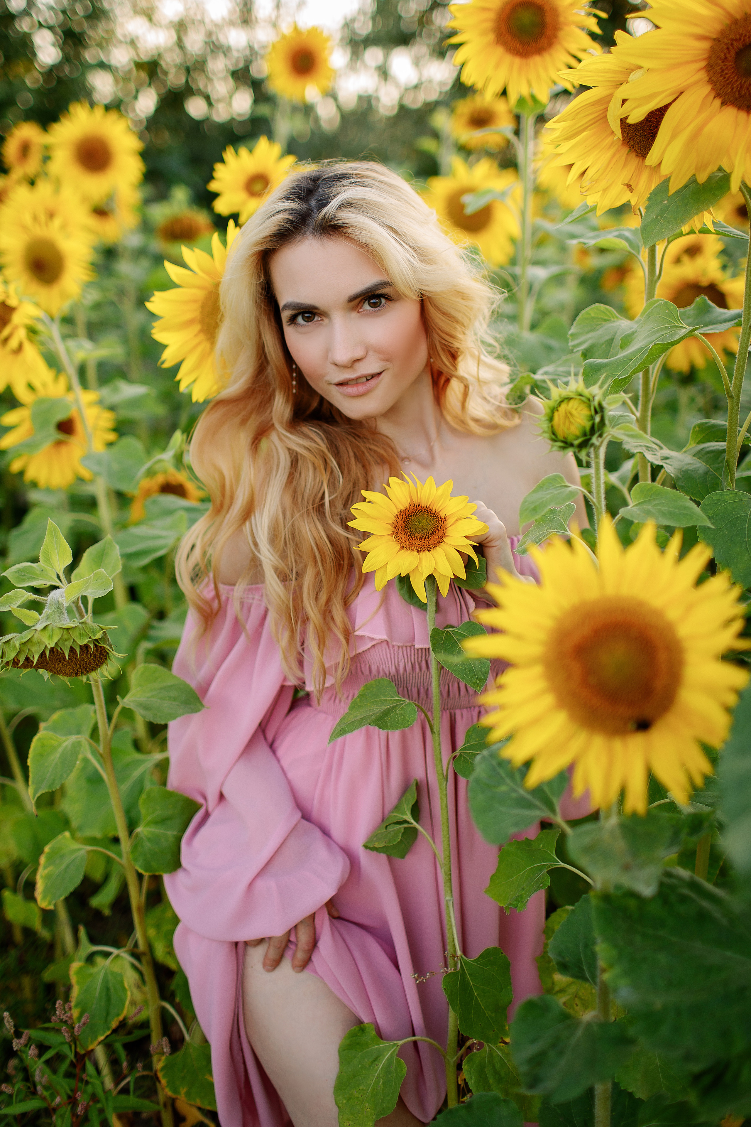 Съёмка в подсолнухах. Свадебный и семейный фотограф в Калининграде Макарова Татьяна