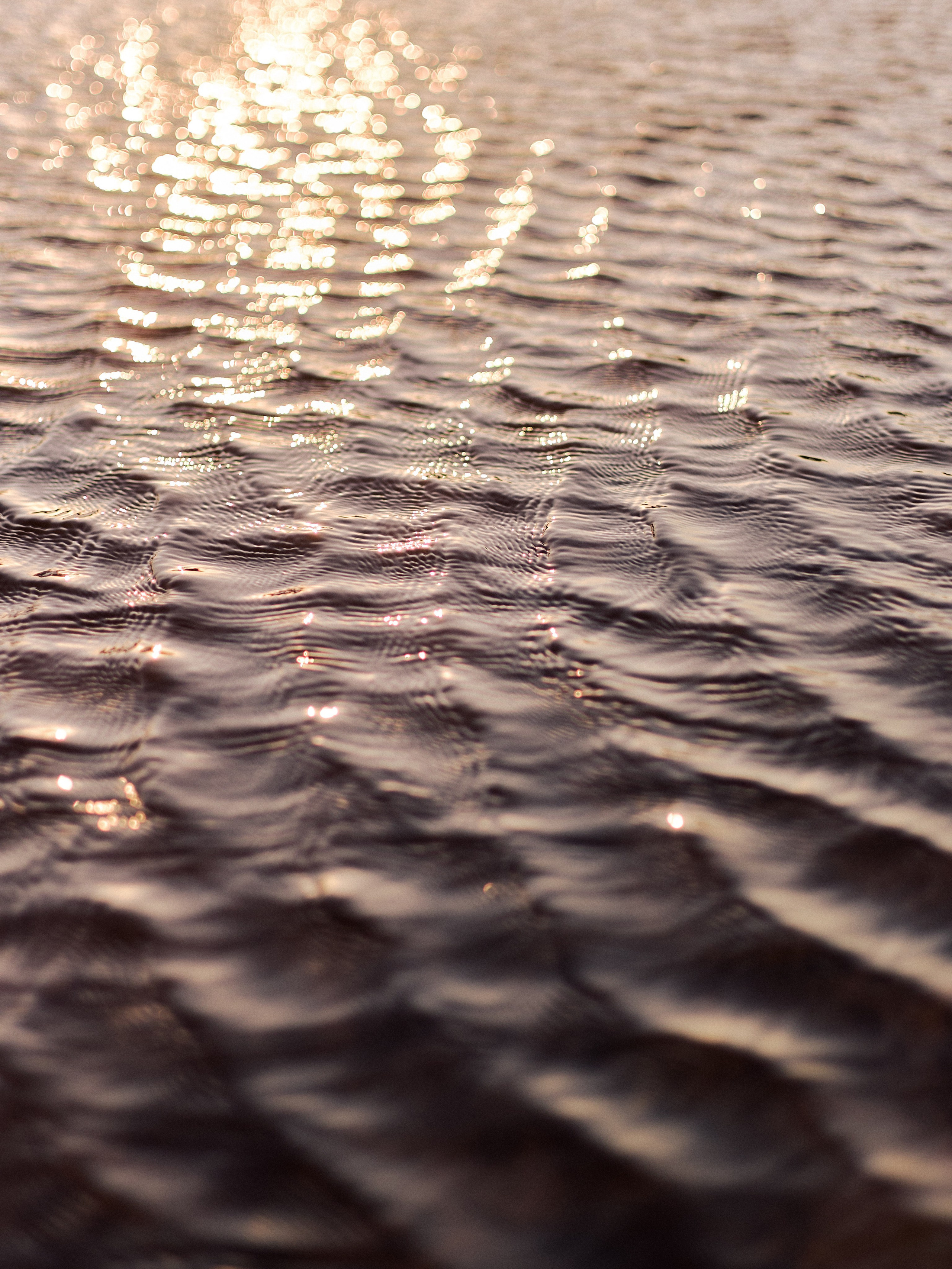 Другое 2. Jorgis Talè — photographer, kind person, teacher of arts and other mag