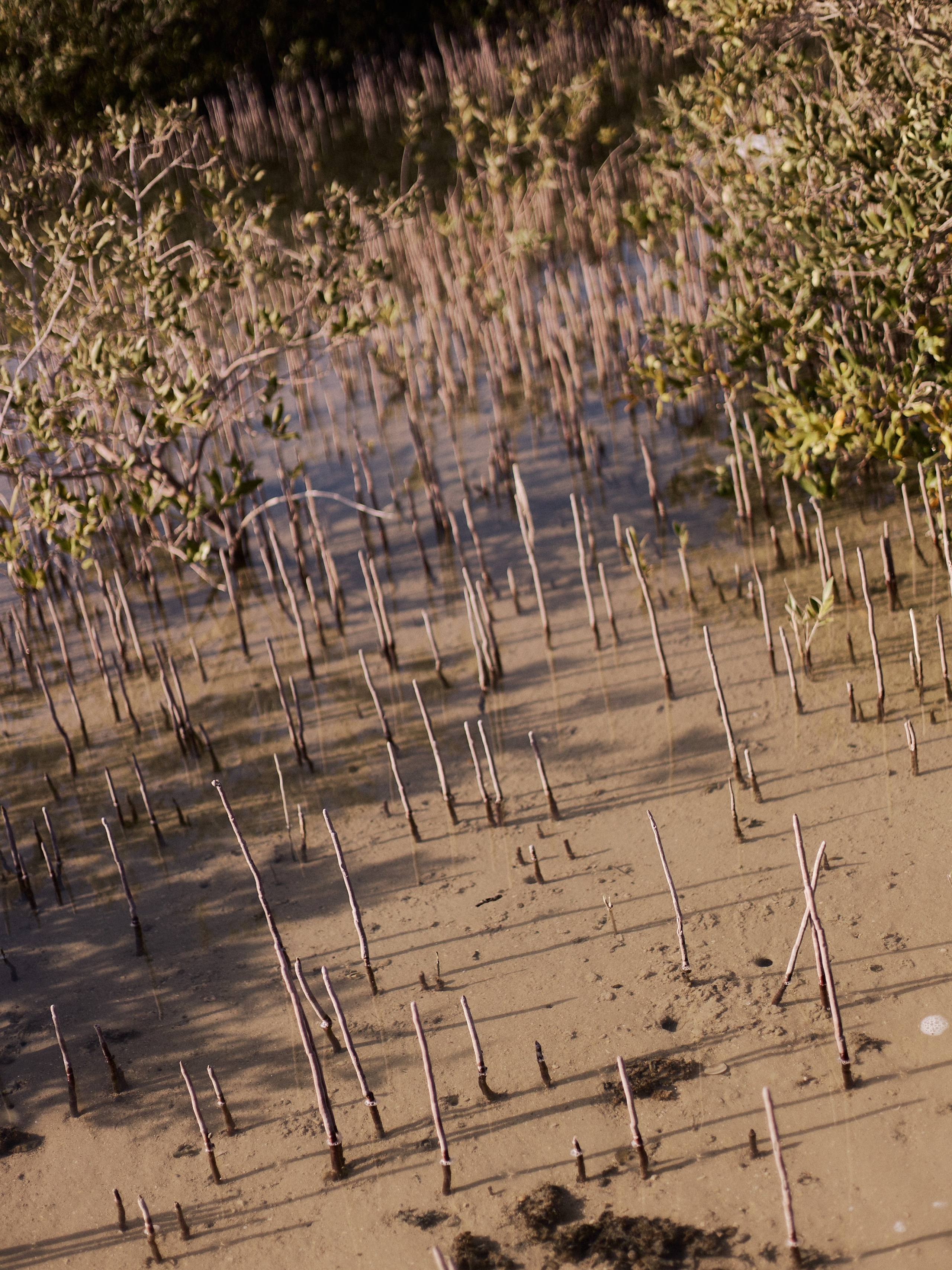 Другое 2. Jorgis Talè — photographer, kind person, teacher of arts and other mag