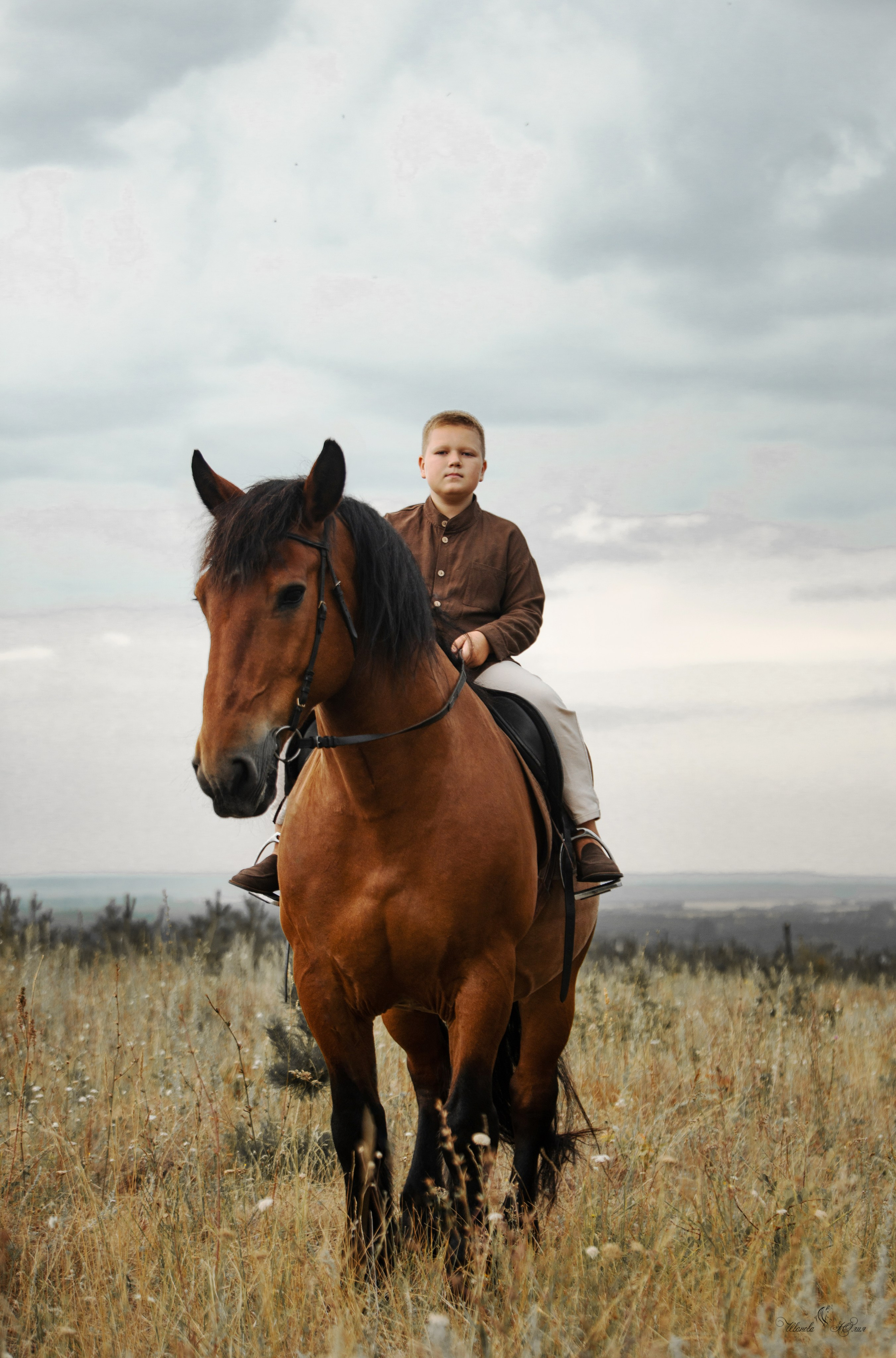 Захар и Спартак. Конный фотограф в Саратове Юлия Иванова