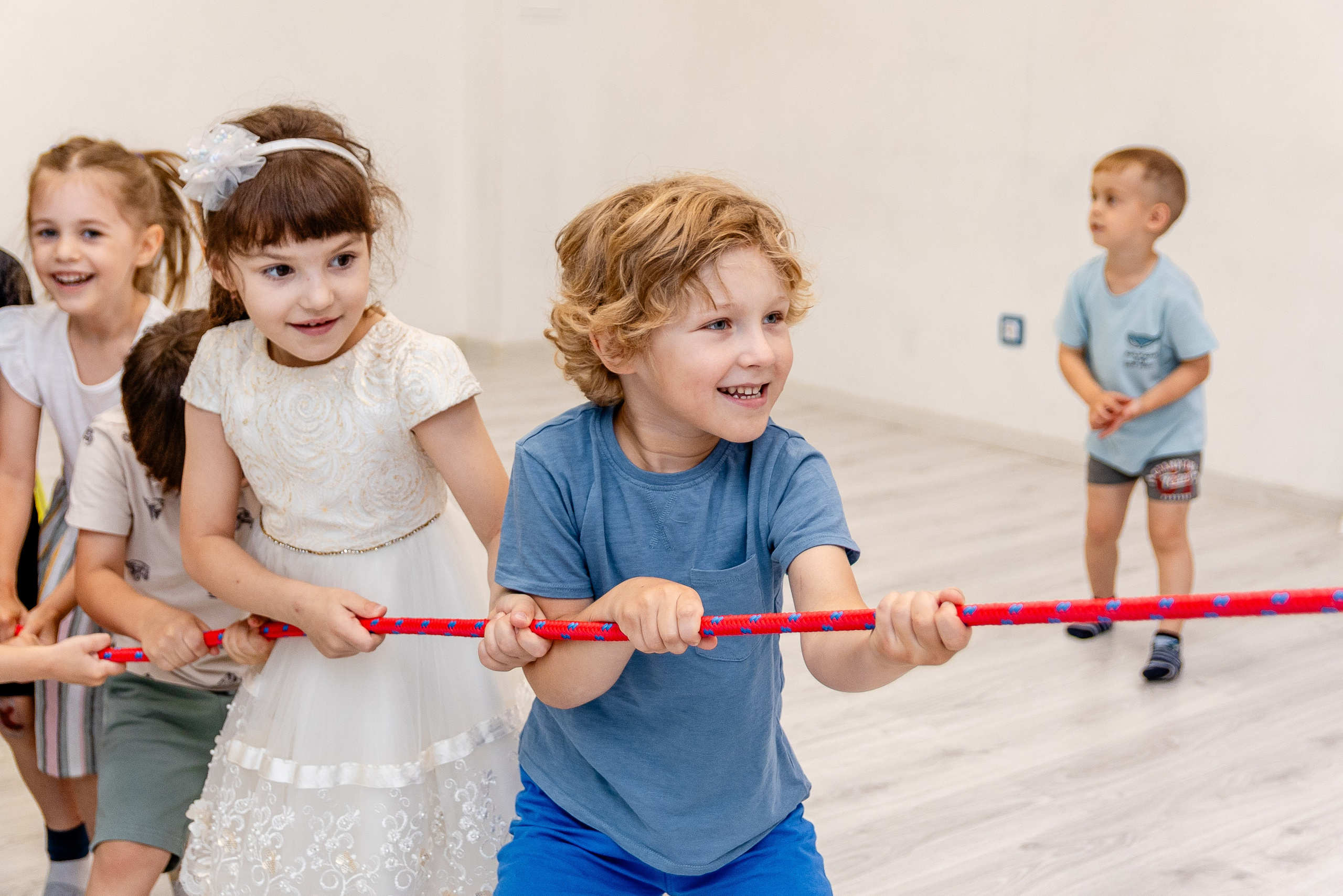 Авокадо. Фотограф Елена Медок Калининград