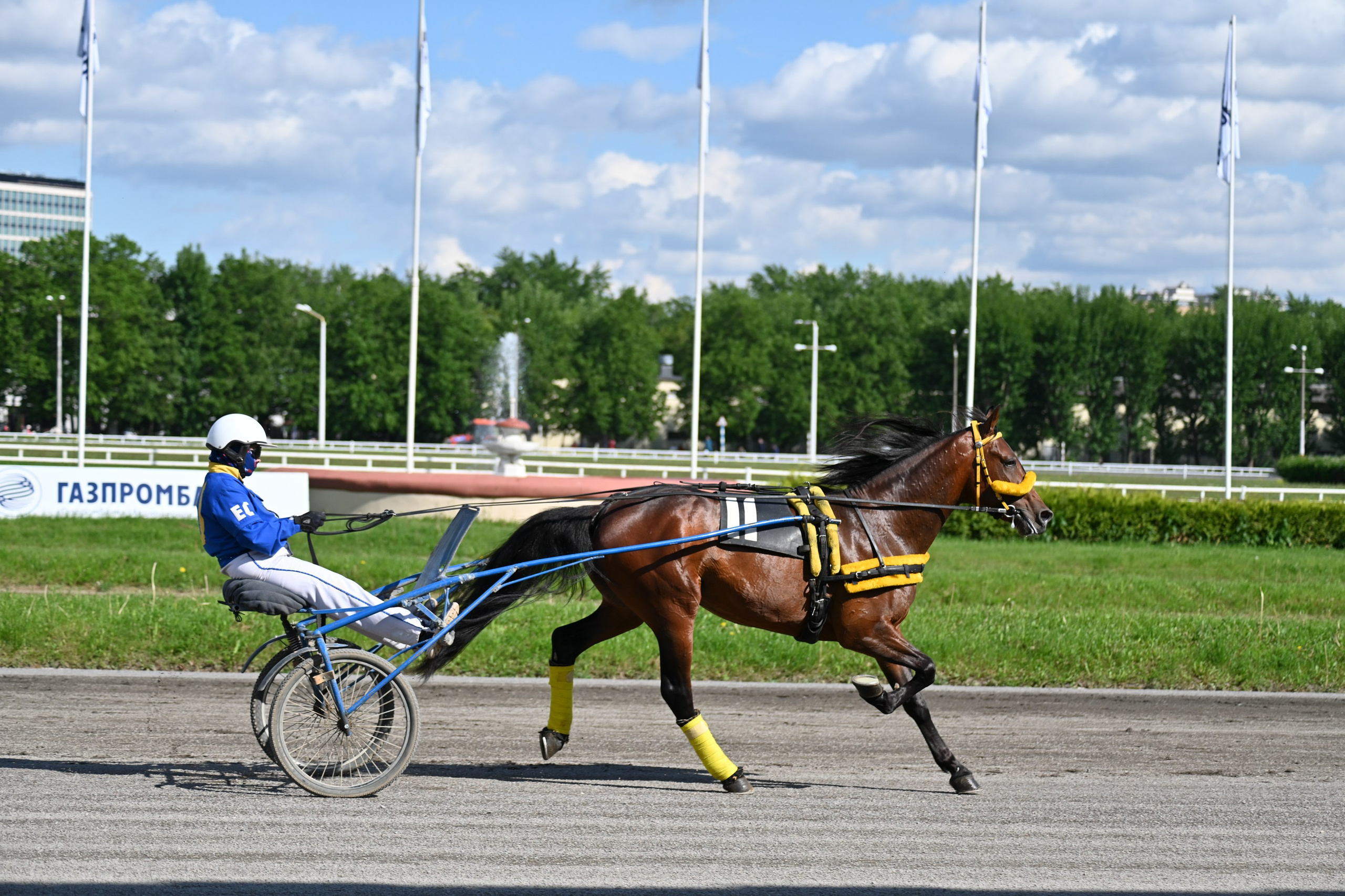 Московский ипподром. Fotolux