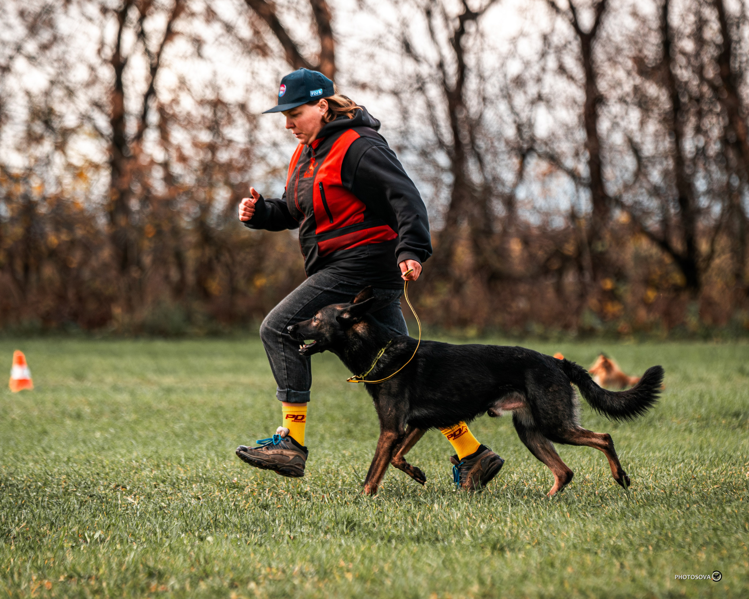 МЫ — КОМАНДА (соревнования) OKD, BH, IBGH, IGP. Фотограф-анималист, семейный фотограф в Москве и Подмосковье. Фотосъёмка кинологических дисциплин