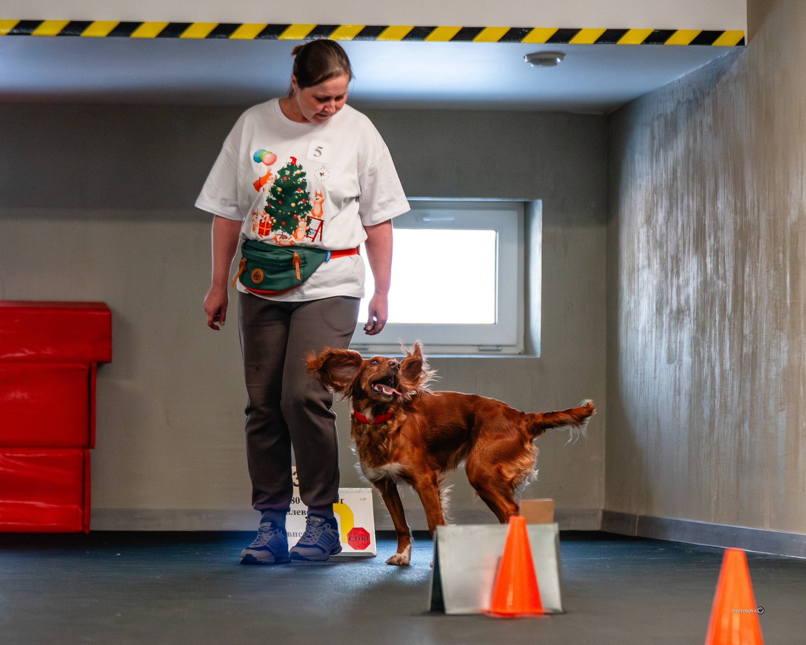 ТЫ И Я (соревнования по ралли-обидиенс). Фотограф-анималист, семейный фотограф в Москве и Подмосковье. Фотосъёмка кинологических дисциплин