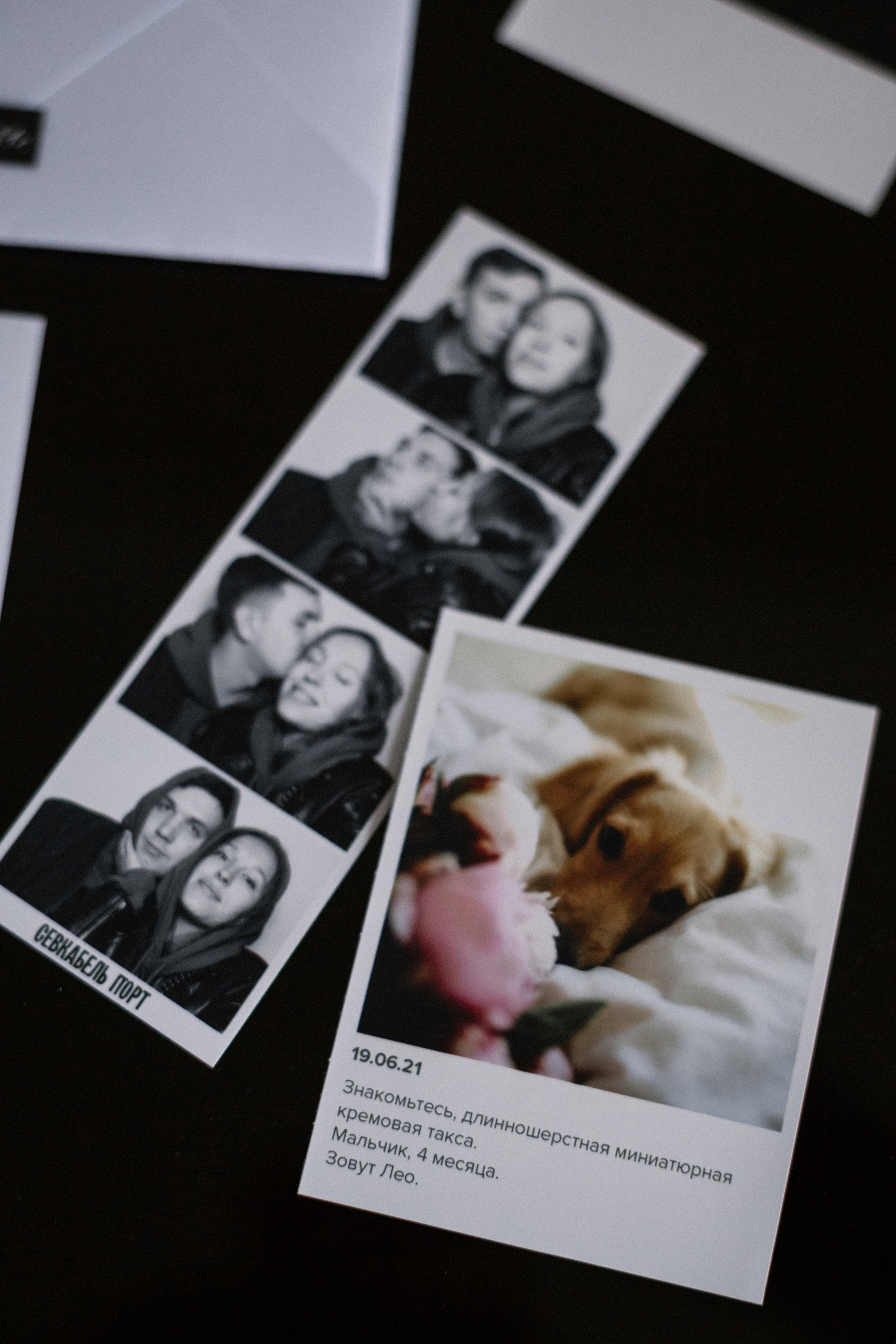 Daniel&Alexandra. Свадебный фотограф в Ижевске Диля Ахмадишина