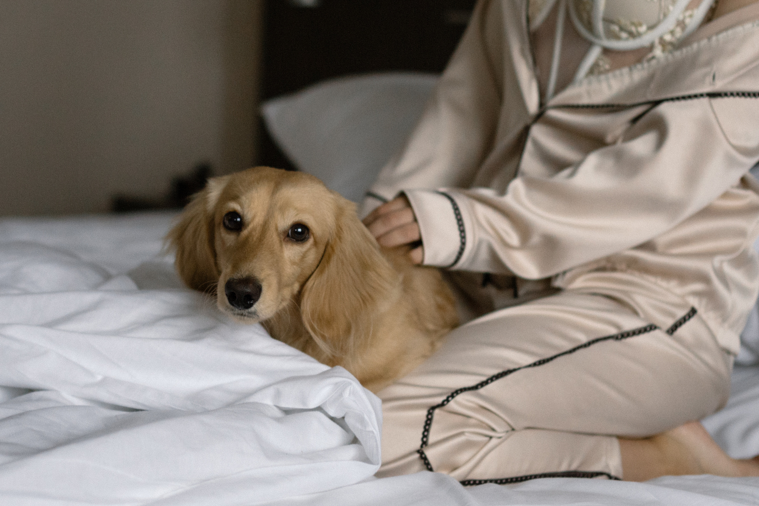 Daniel&Alexandra. Свадебный фотограф в Ижевске Диля Ахмадишина