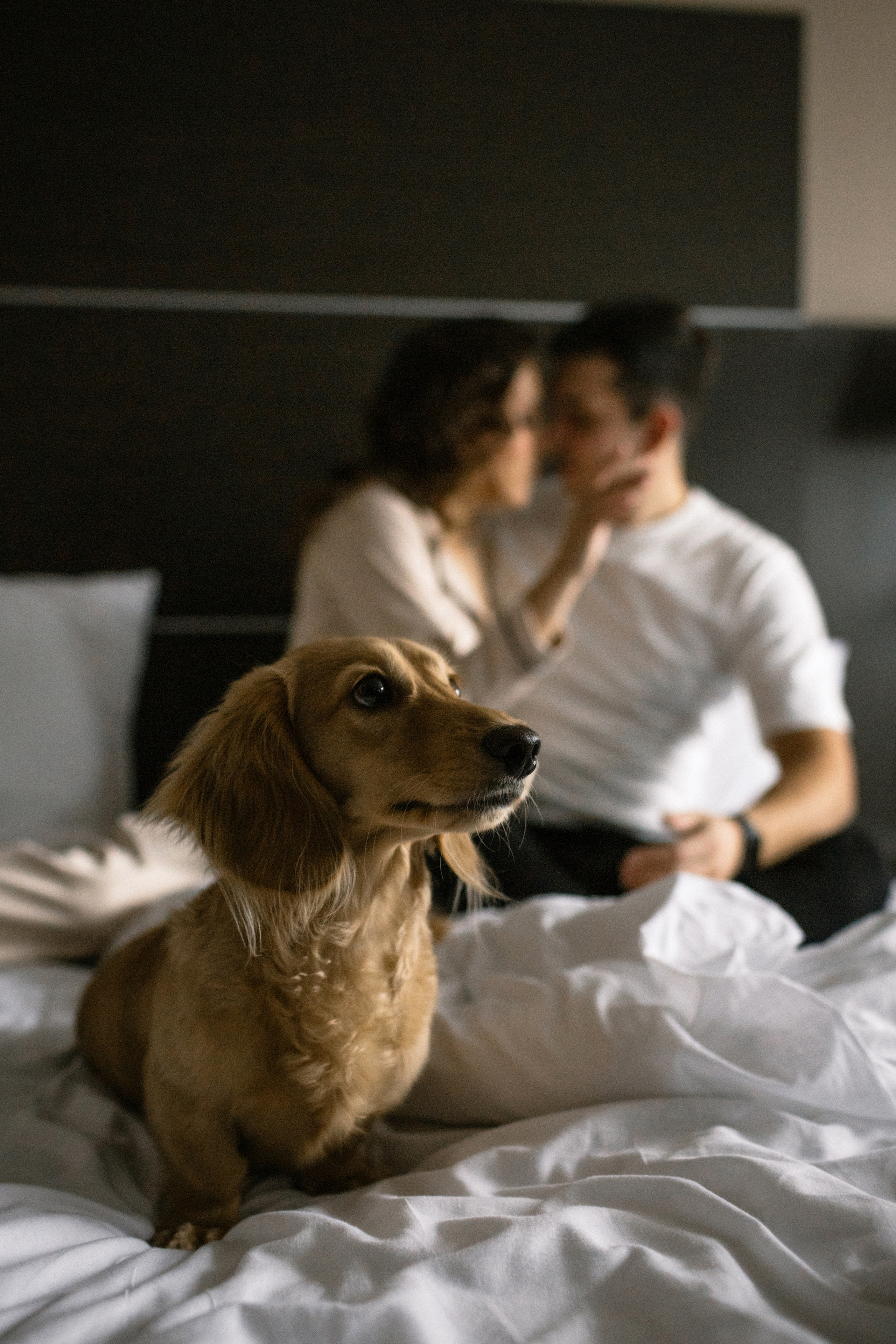 Daniel&Alexandra. Свадебный фотограф в Ижевске Диля Ахмадишина