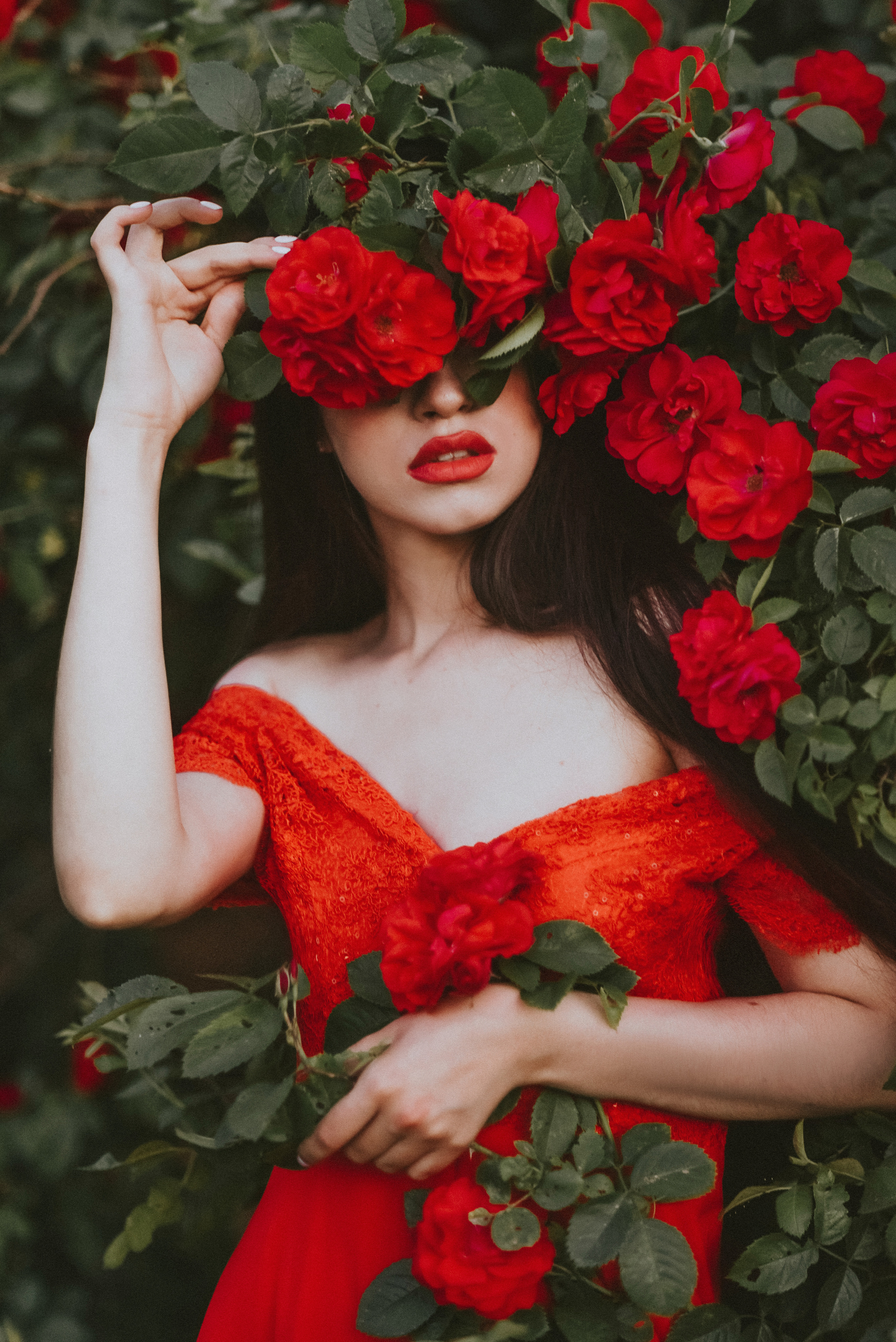 ROSE. NatashaNimfa photo