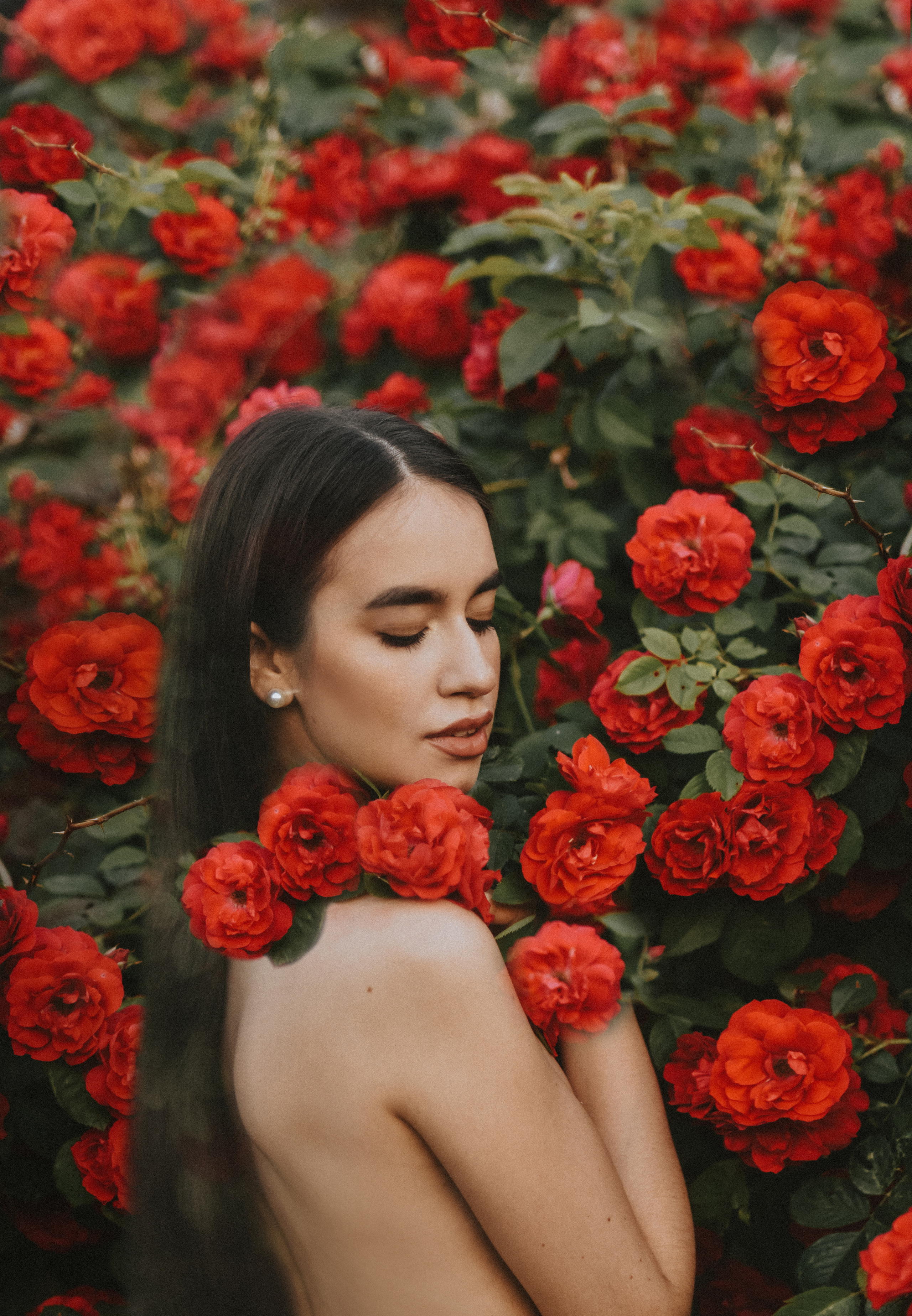 ROSE. NatashaNimfa photo